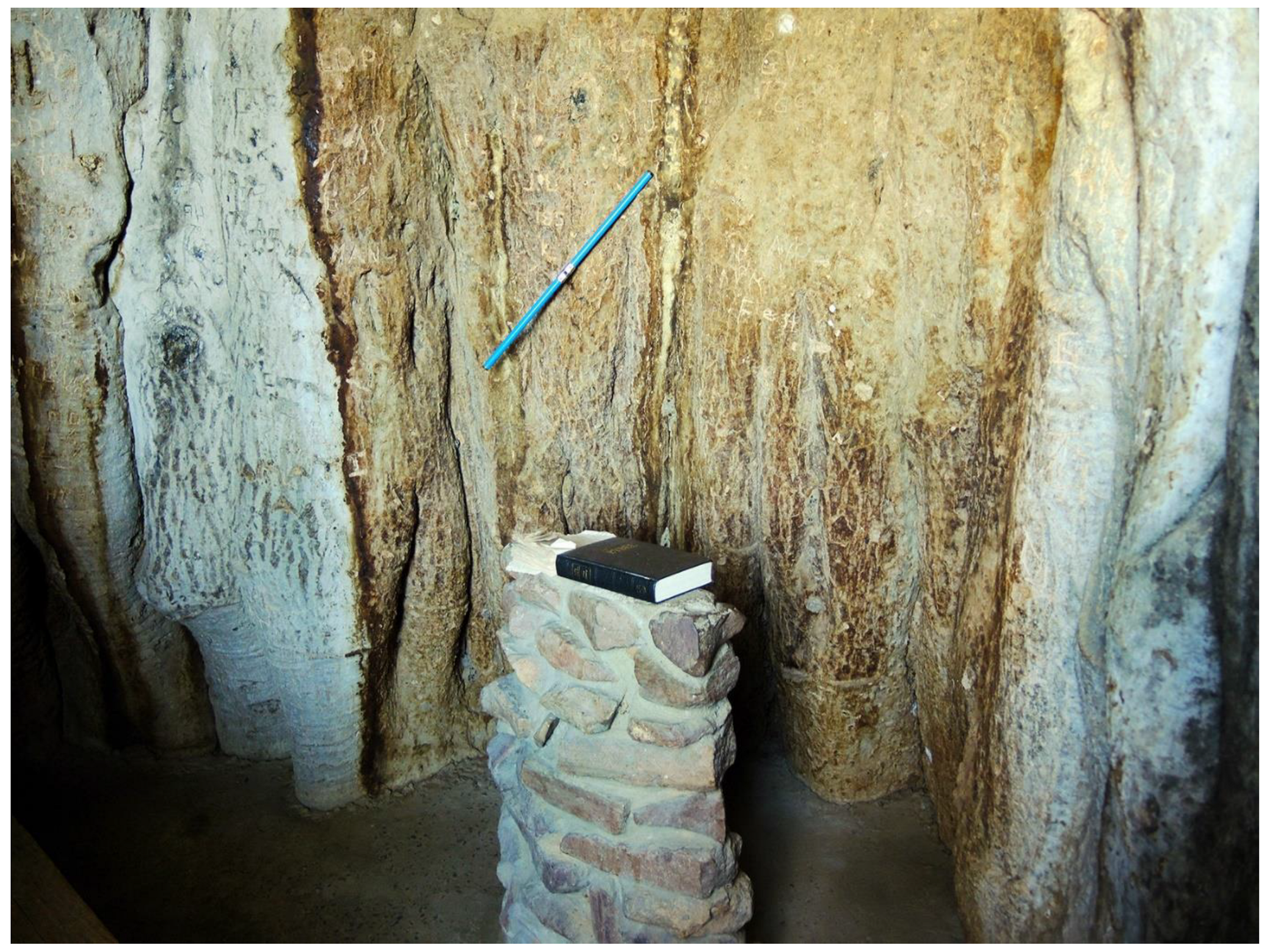 Forests 13 01899 g013