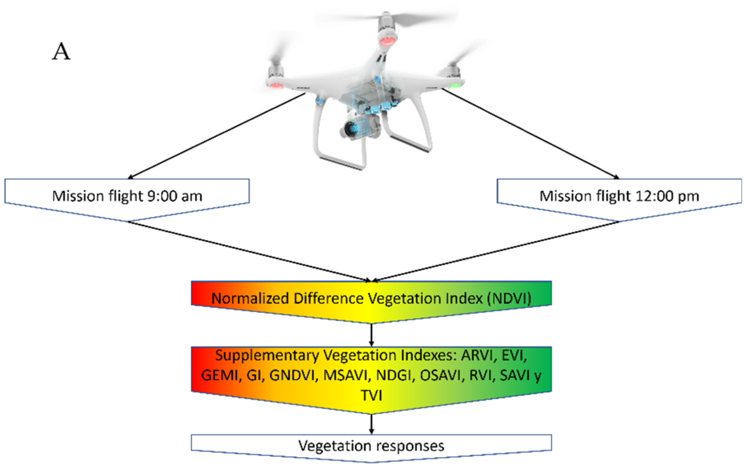 Forests 13 01901 g001a Forests 13 01901 g001a