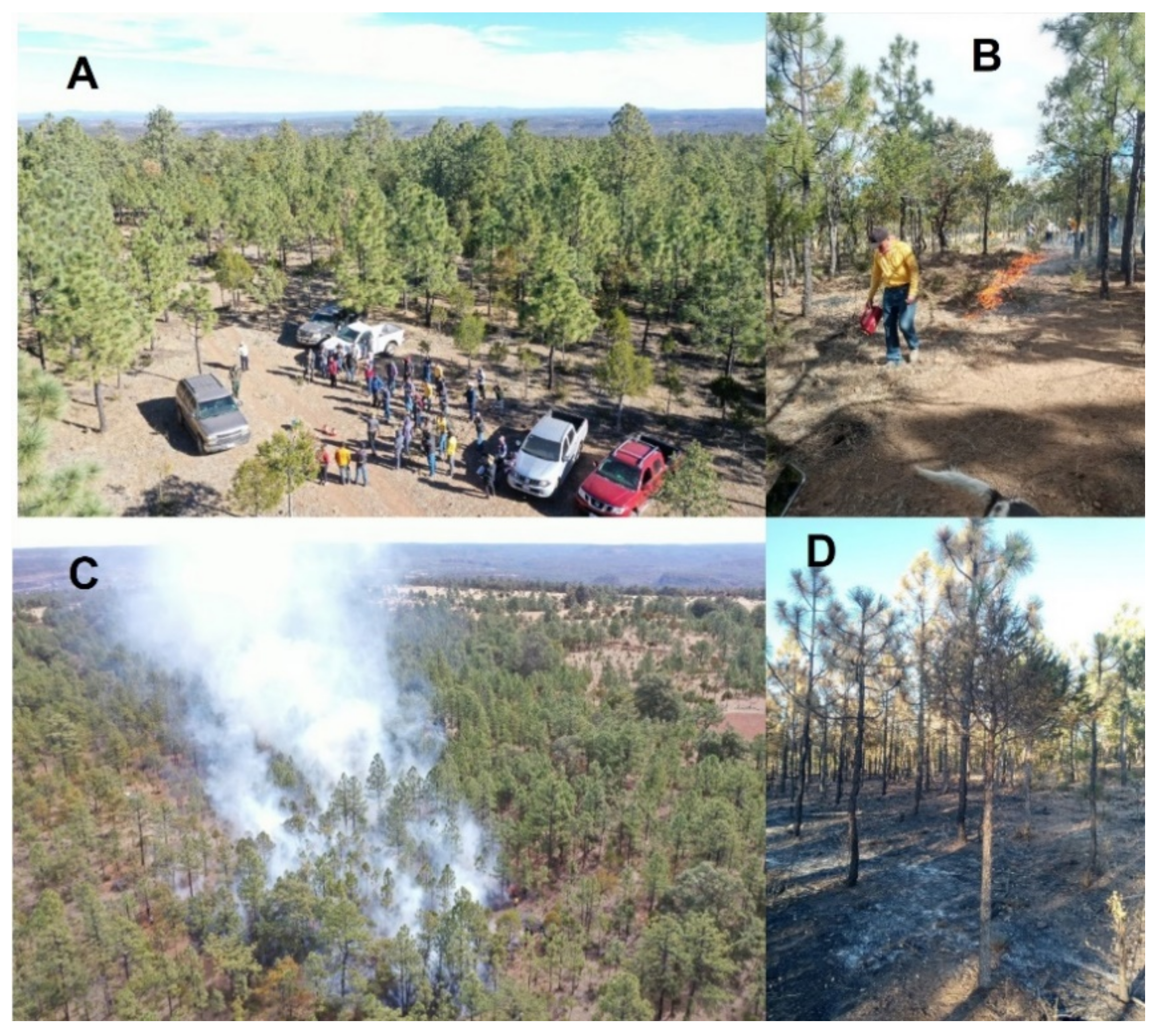 Forests 13 01901 g002 Forests 13 01901 g002