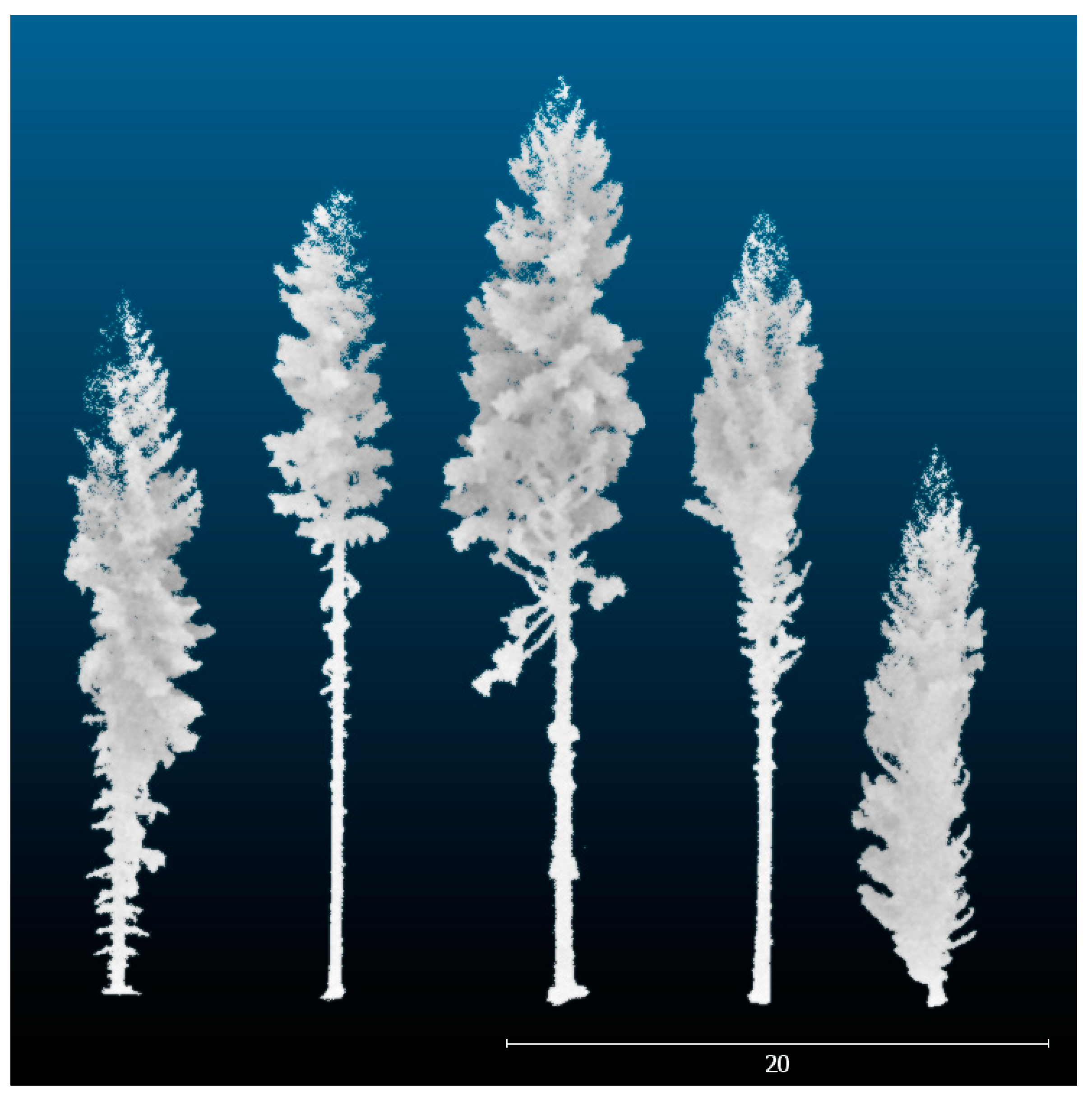 Forests 13 01910 g002 Forests 13 01910 g002