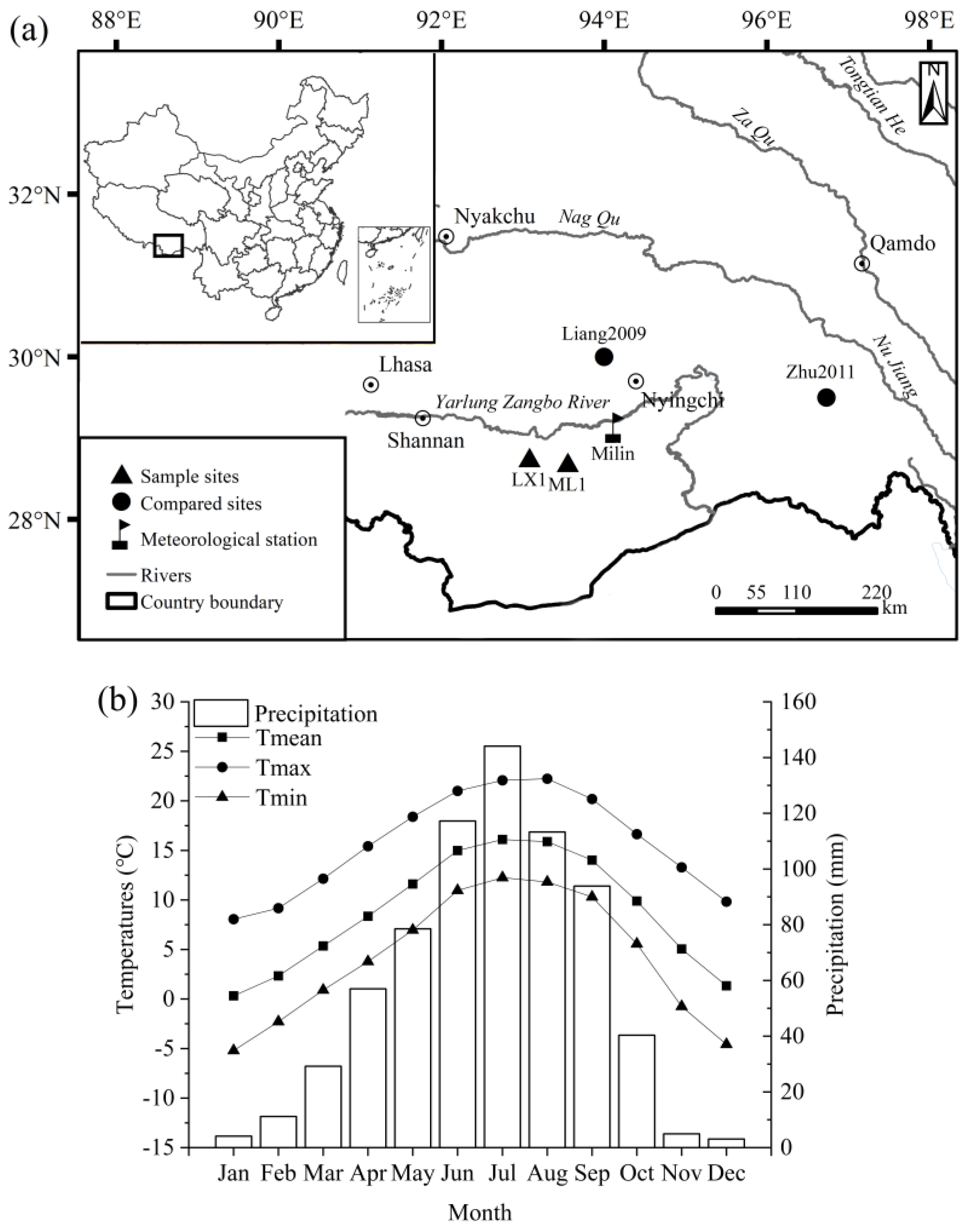 Forests 13 01911 g001