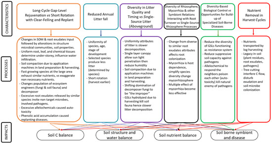 Forests | Free Full-Text | Soil Degradation Due To Conversion From.