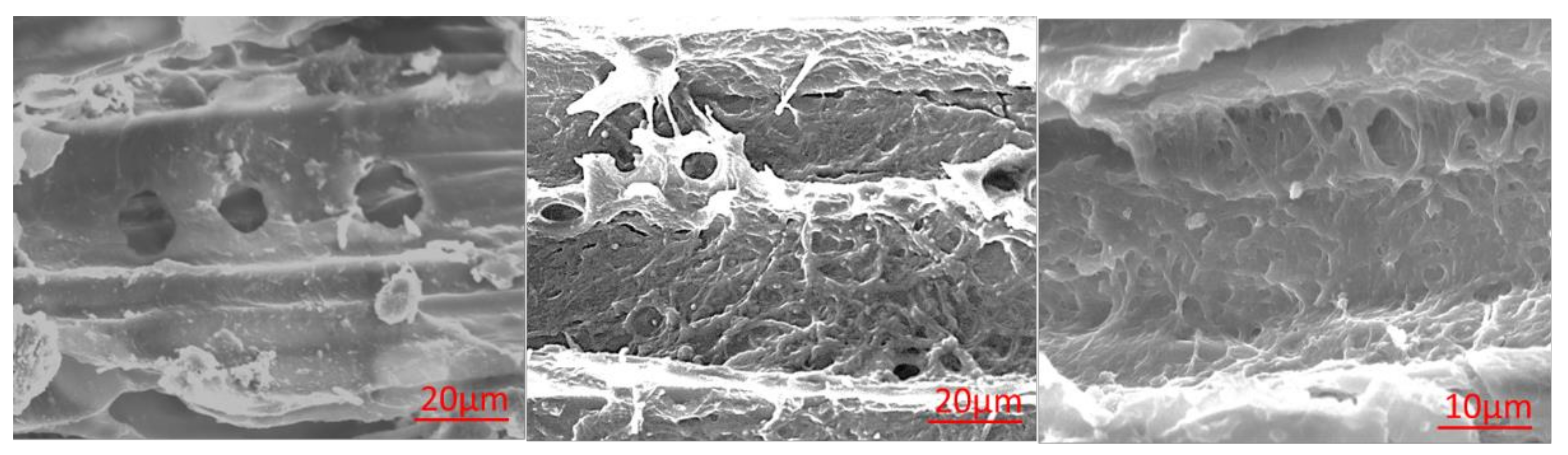 Forests 13 01919 g007 Forests 13 01919 g007