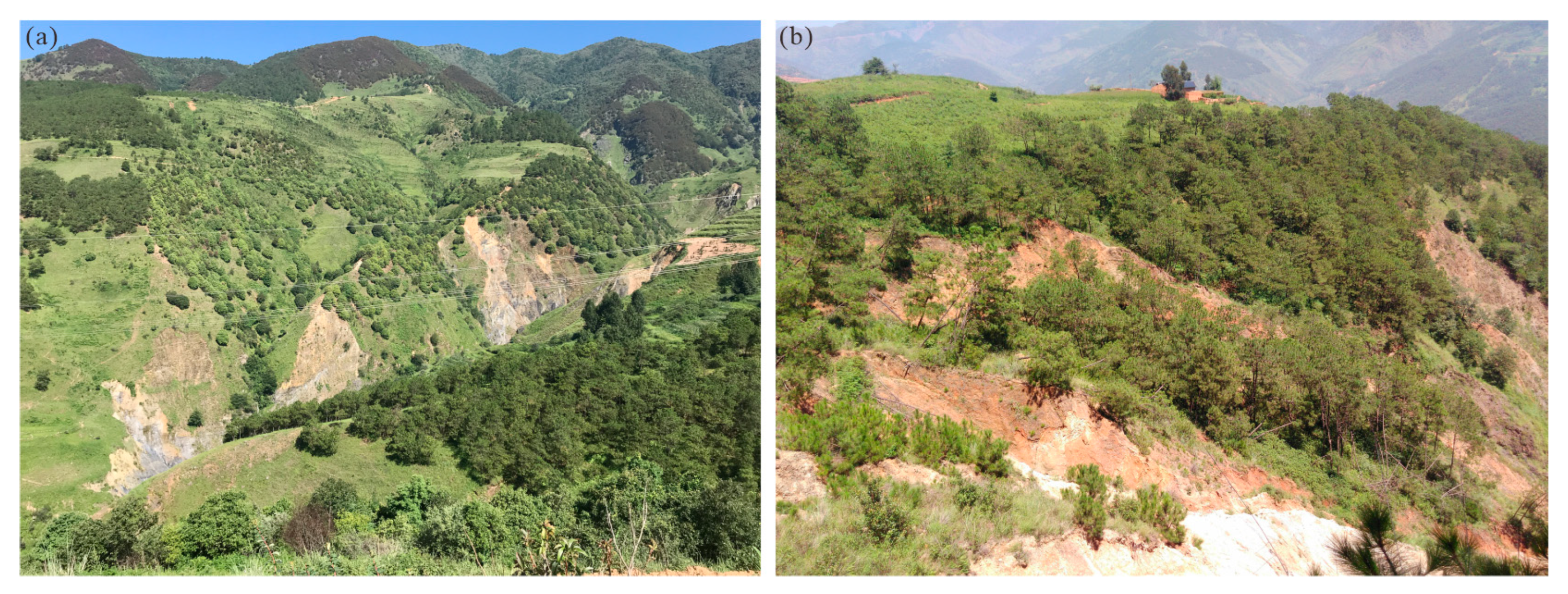 Forests 13 01925 g002 Forests 13 01925 g002