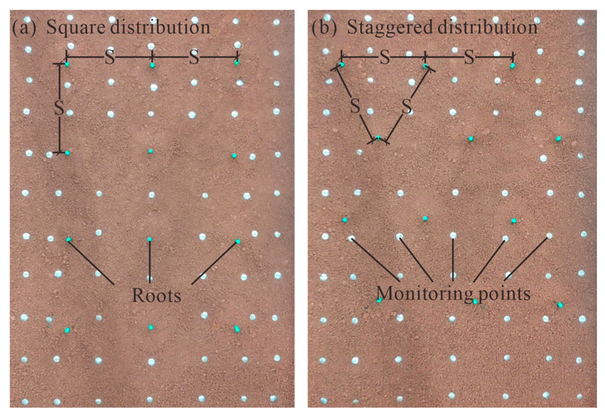 Forests 13 01925 g006 Forests 13 01925 g006