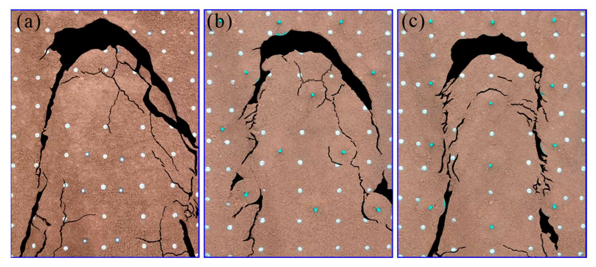 Forests 13 01925 g013 Forests 13 01925 g013