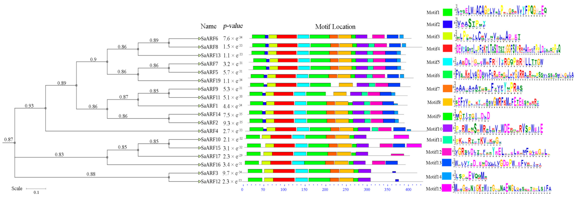 Forests 13 01934 g001