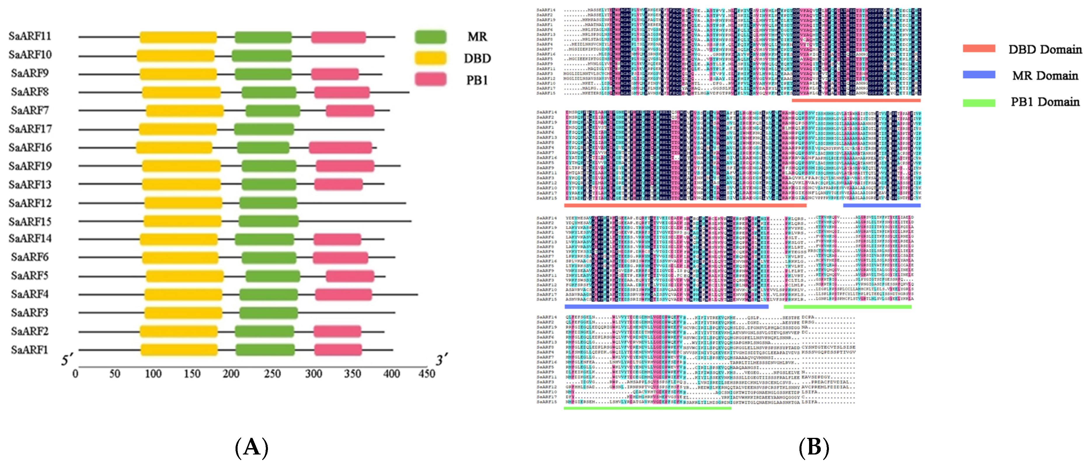 Forests 13 01934 g002