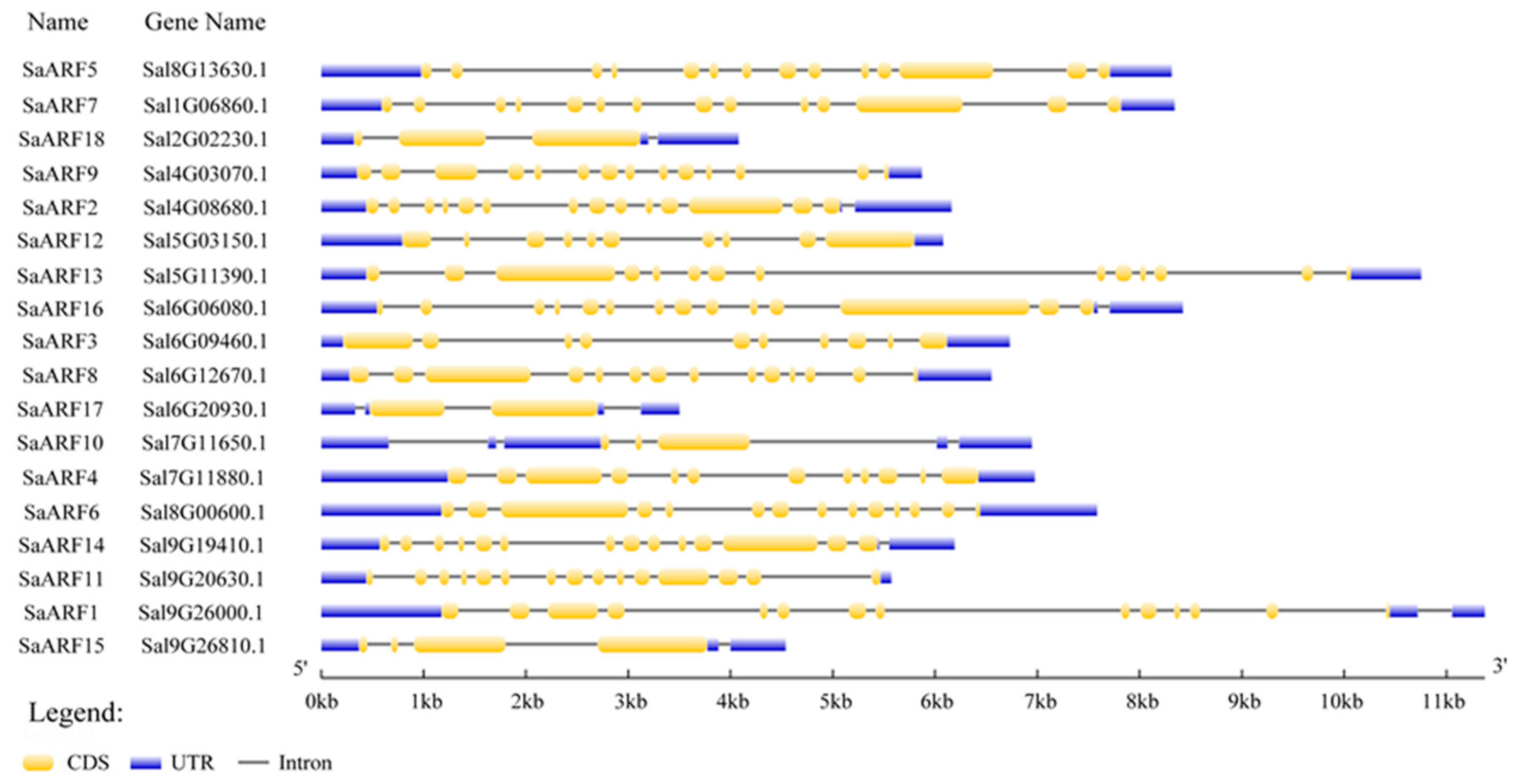 Forests 13 01934 g003