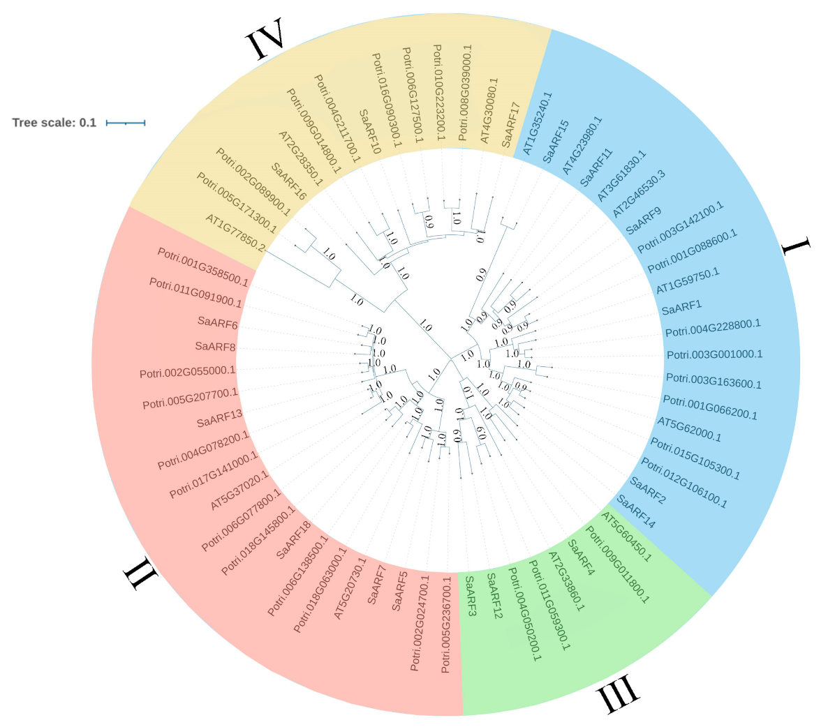 Forests 13 01934 g004
