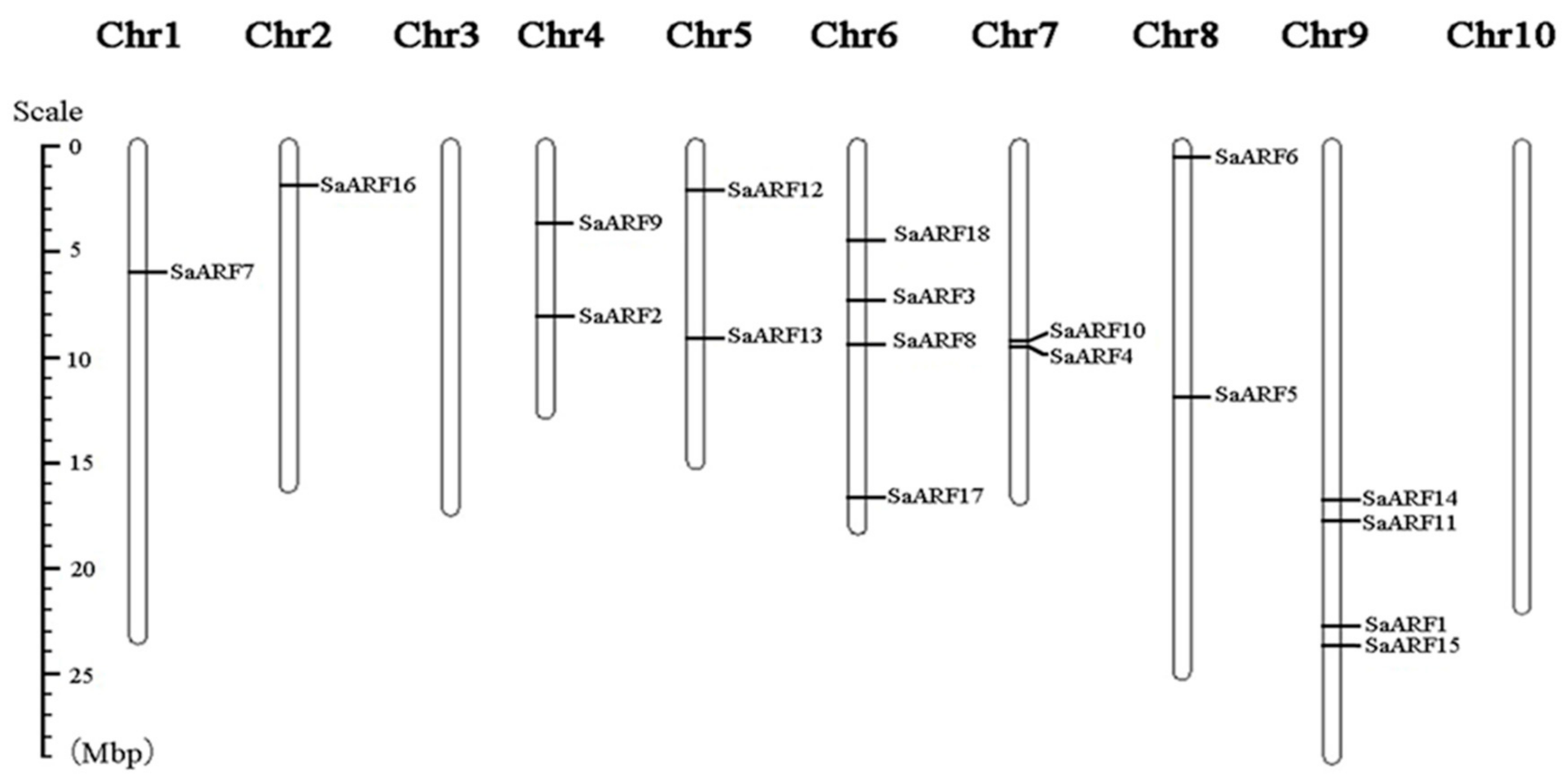 Forests 13 01934 g005
