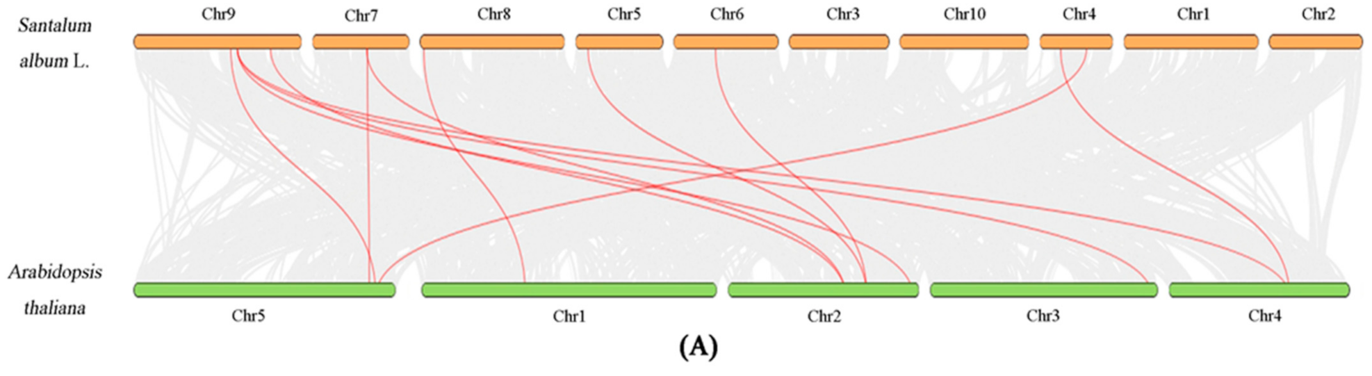 Forests 13 01934 g006a
