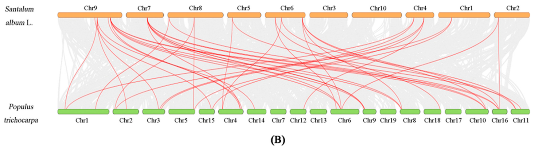 Forests 13 01934 g006b