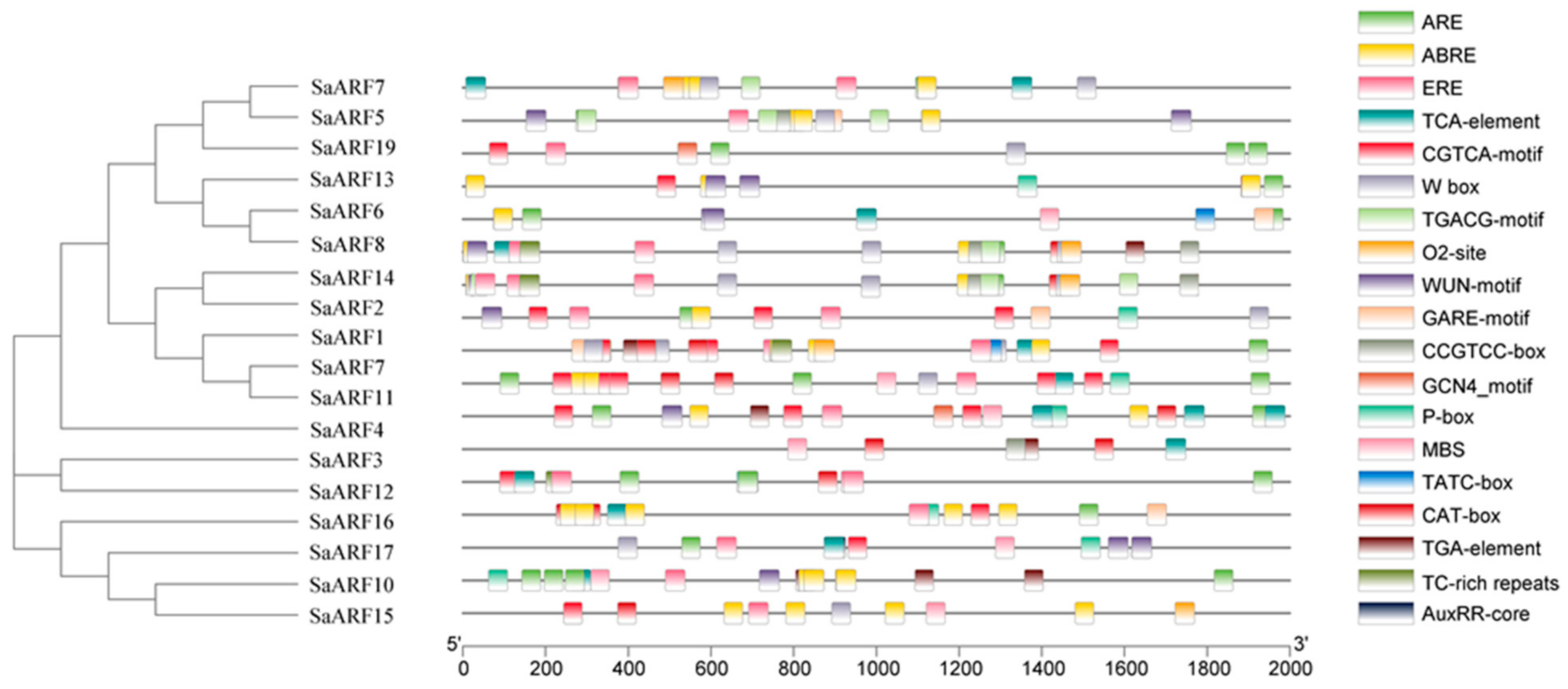 Forests 13 01934 g008