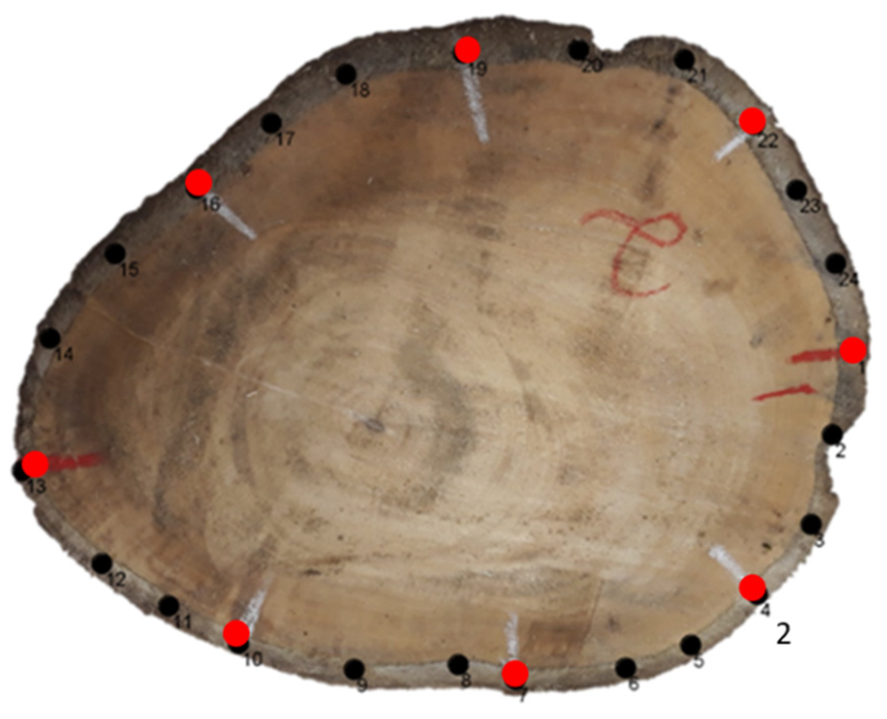 Forests 13 01935 g003