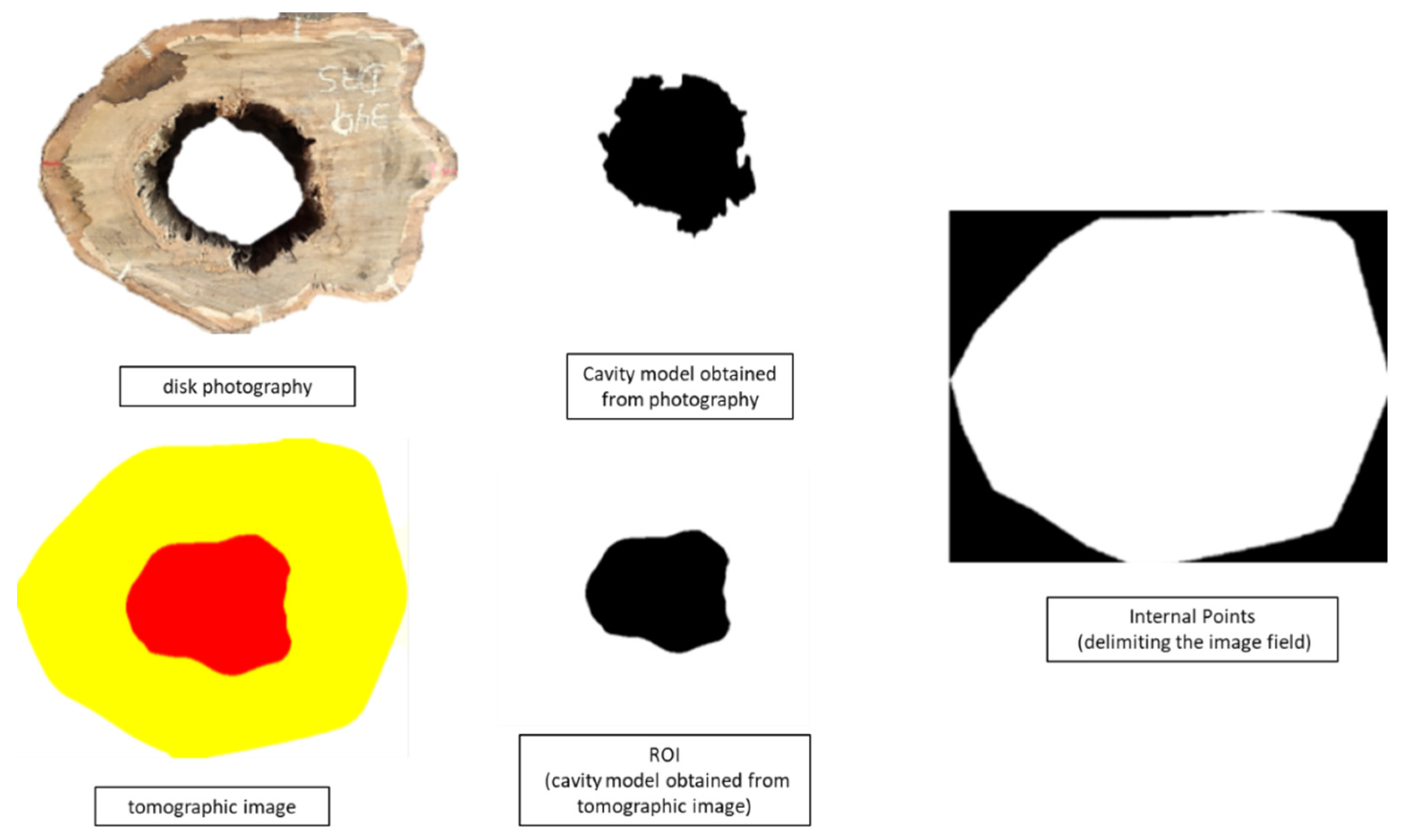 Forests 13 01935 g005