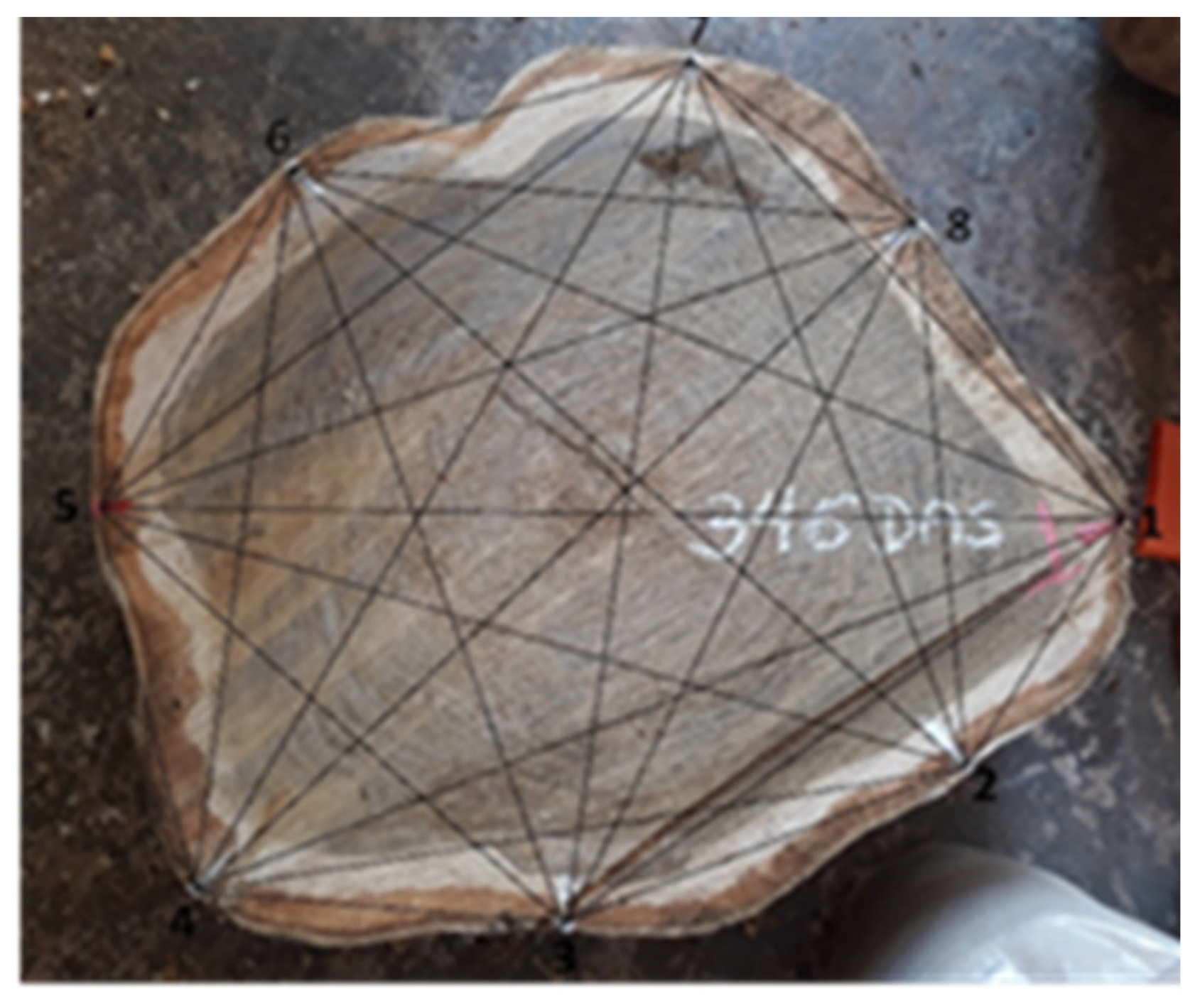 Forests 13 01935 g006