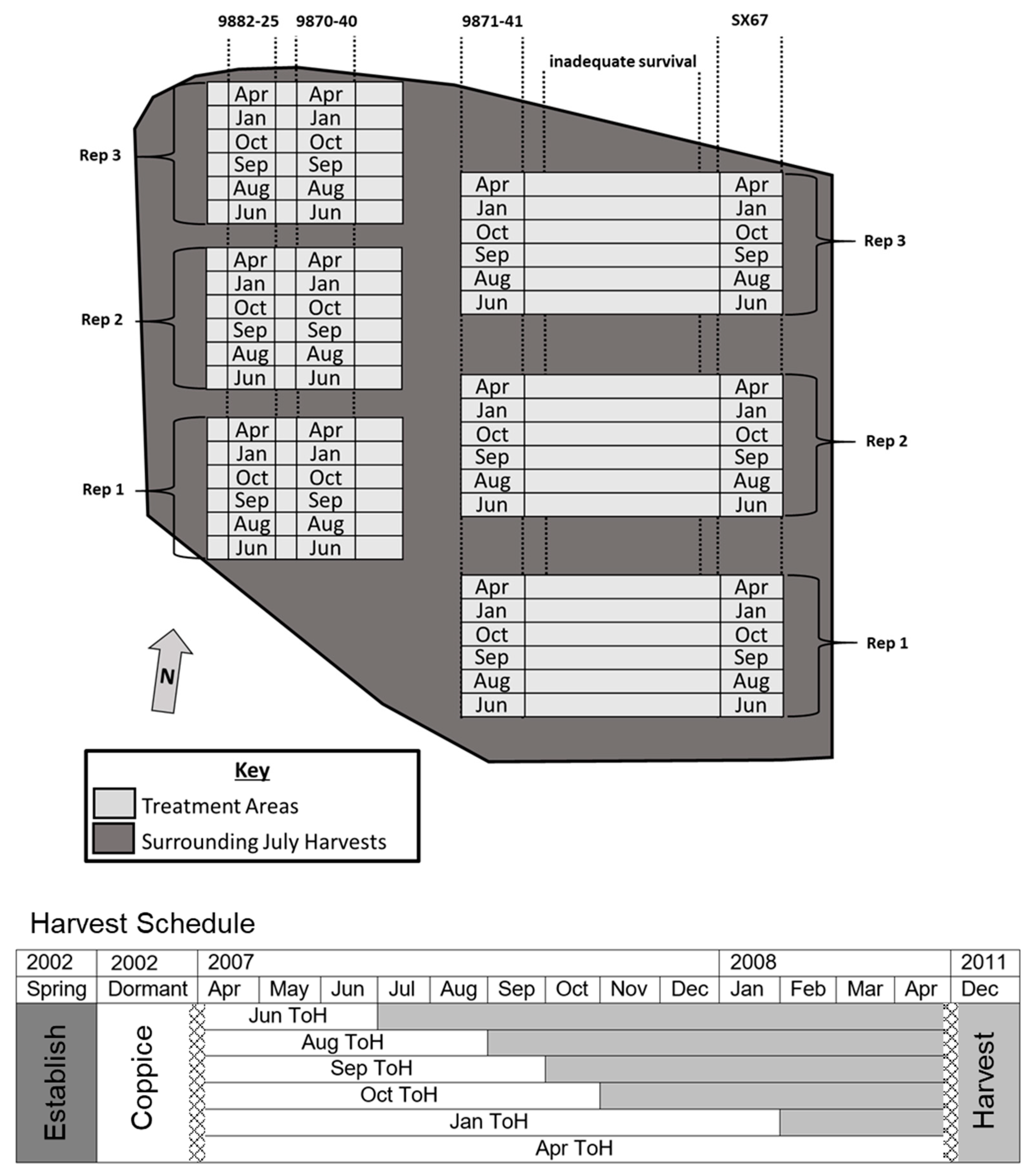 Forests 13 01936 g001