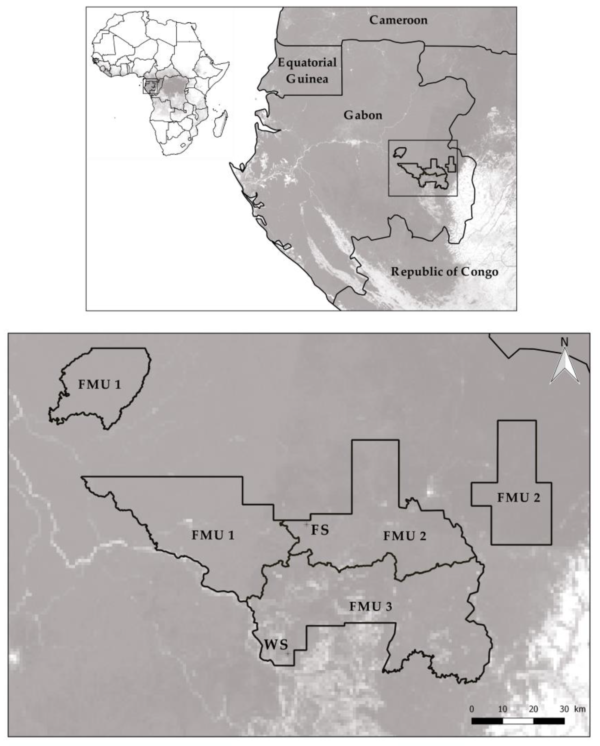 Forests 13 01937 g001