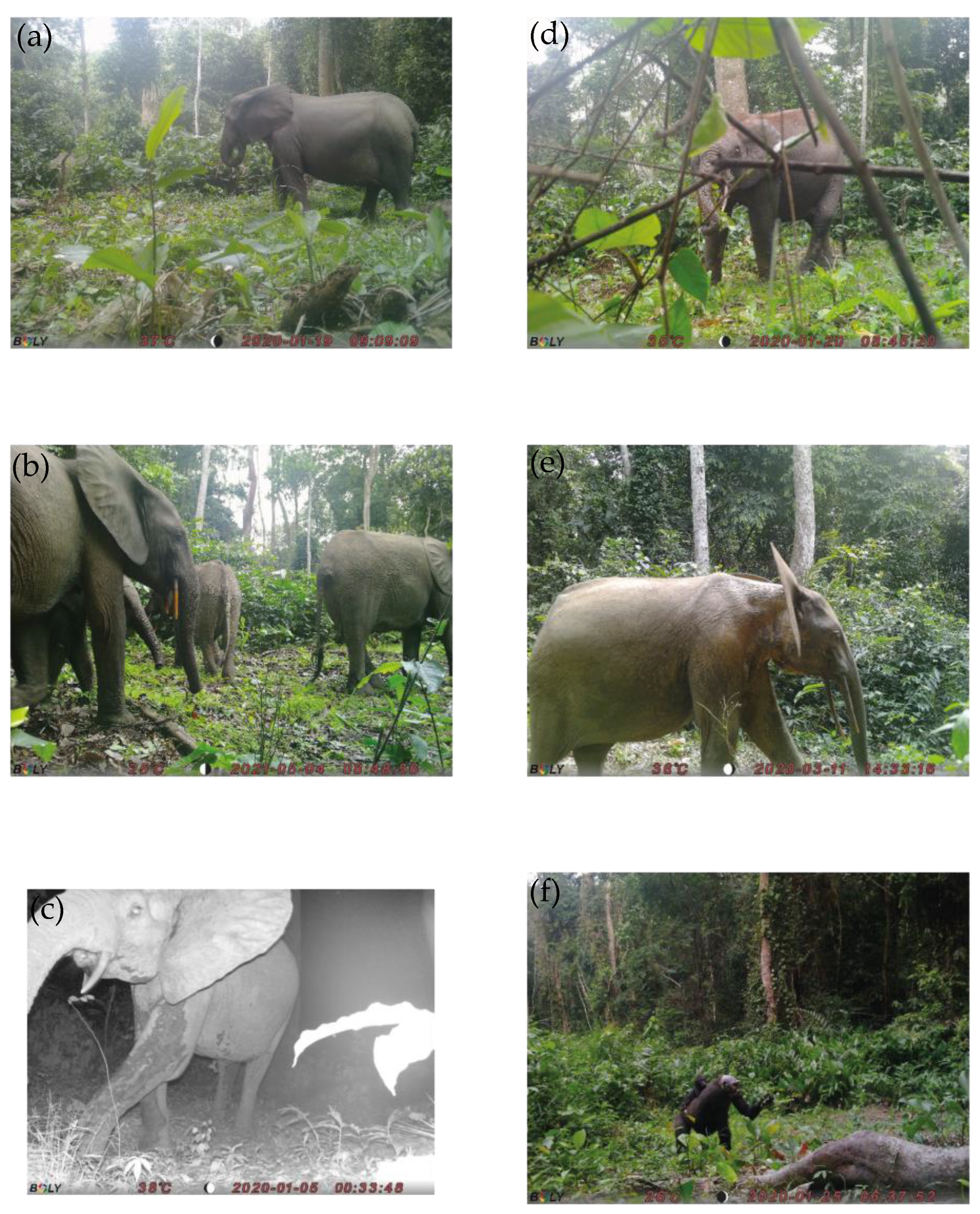 Forests 13 01937 g006