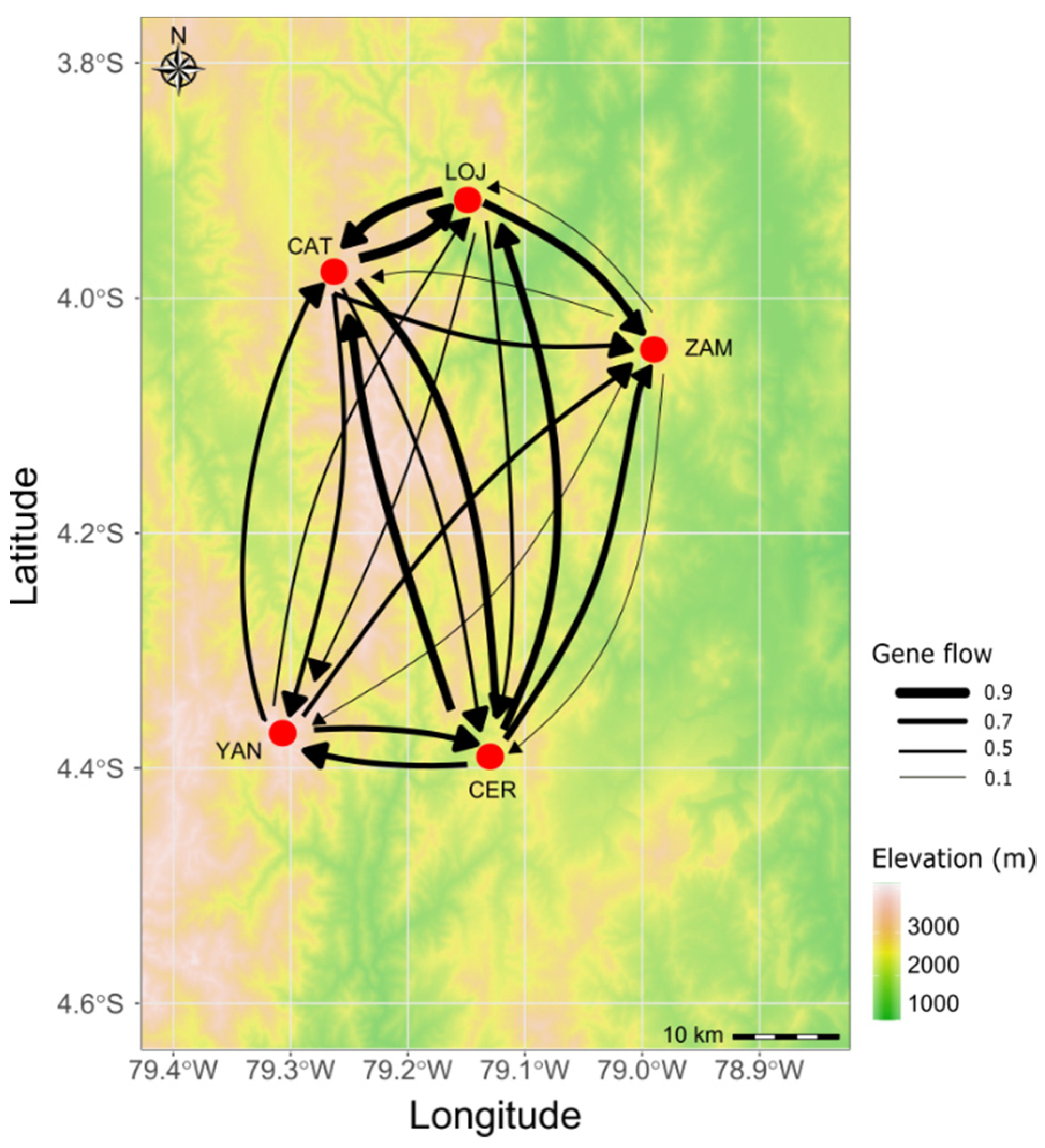 Forests 13 01940 g002
