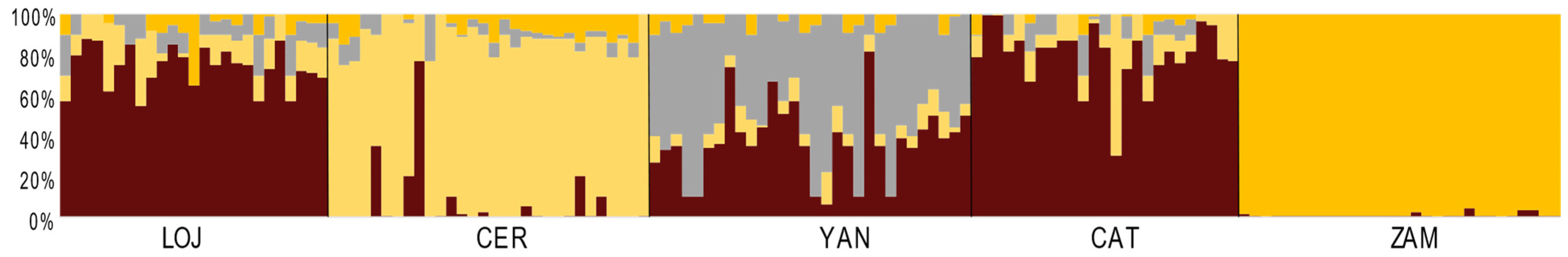 Forests 13 01940 g003