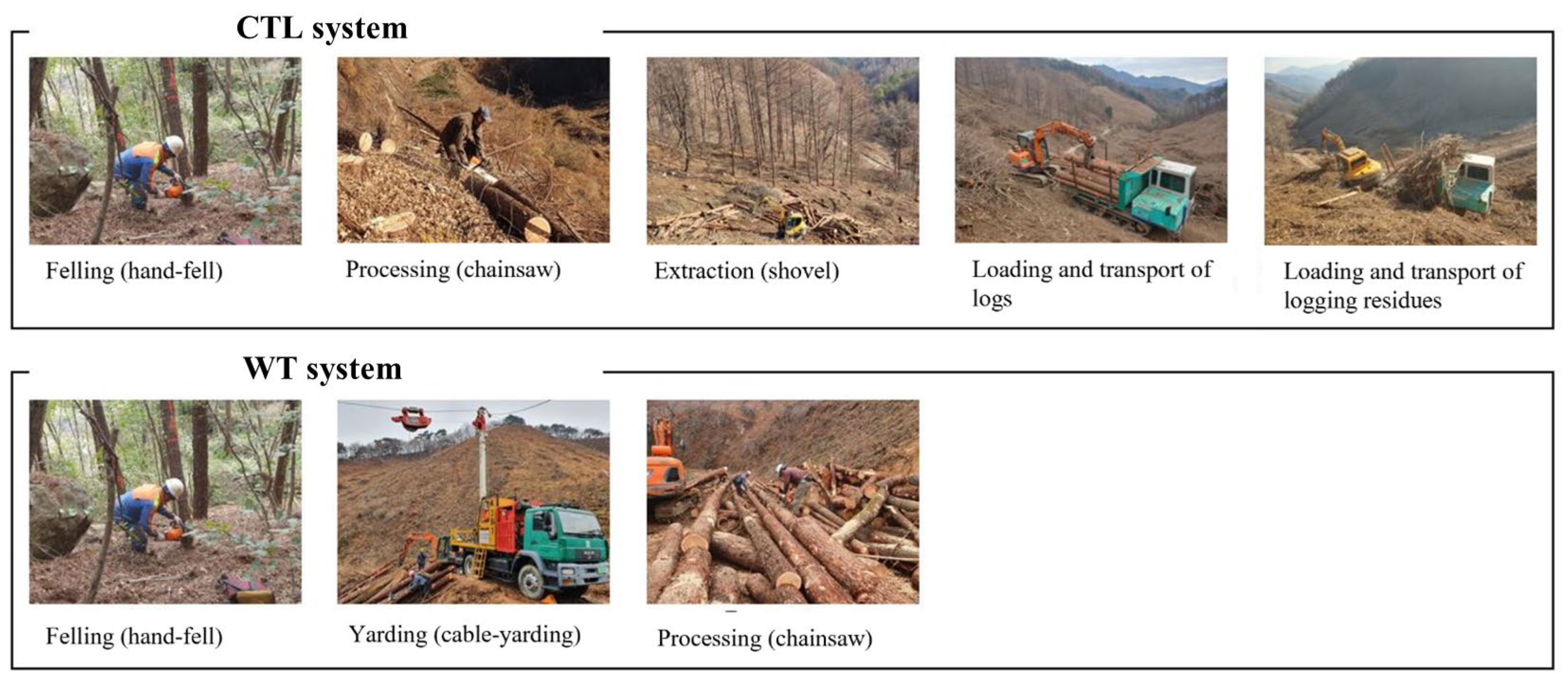 Forests 13 01941 g002 Forests 13 01941 g002