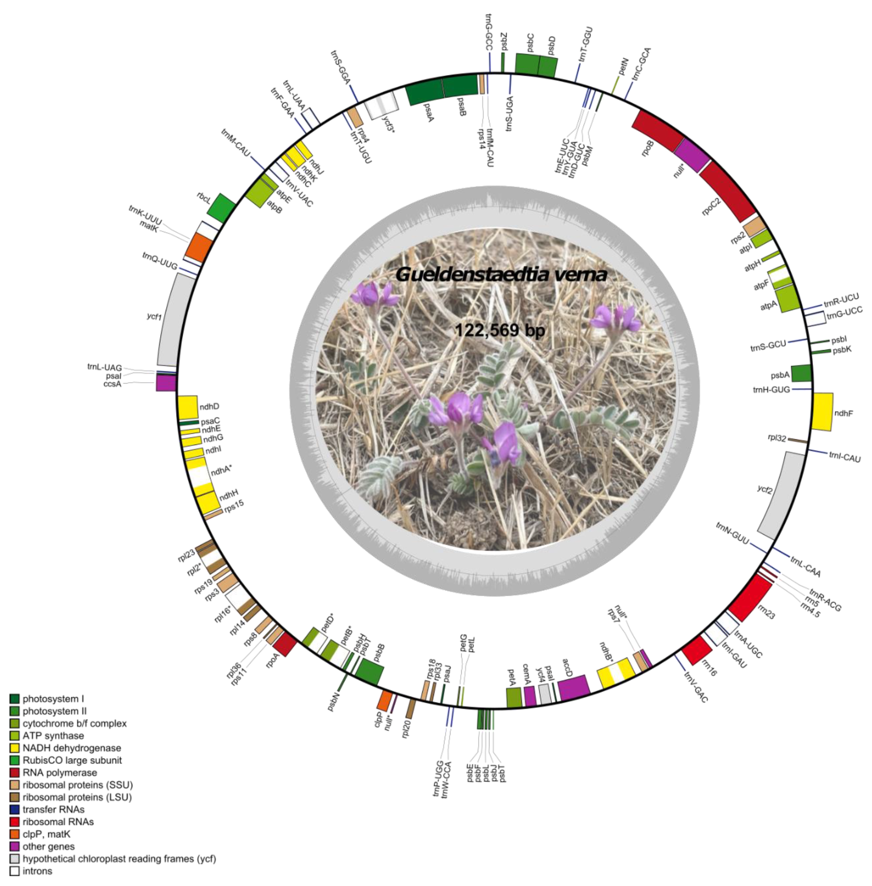 Forests 13 01942 g001