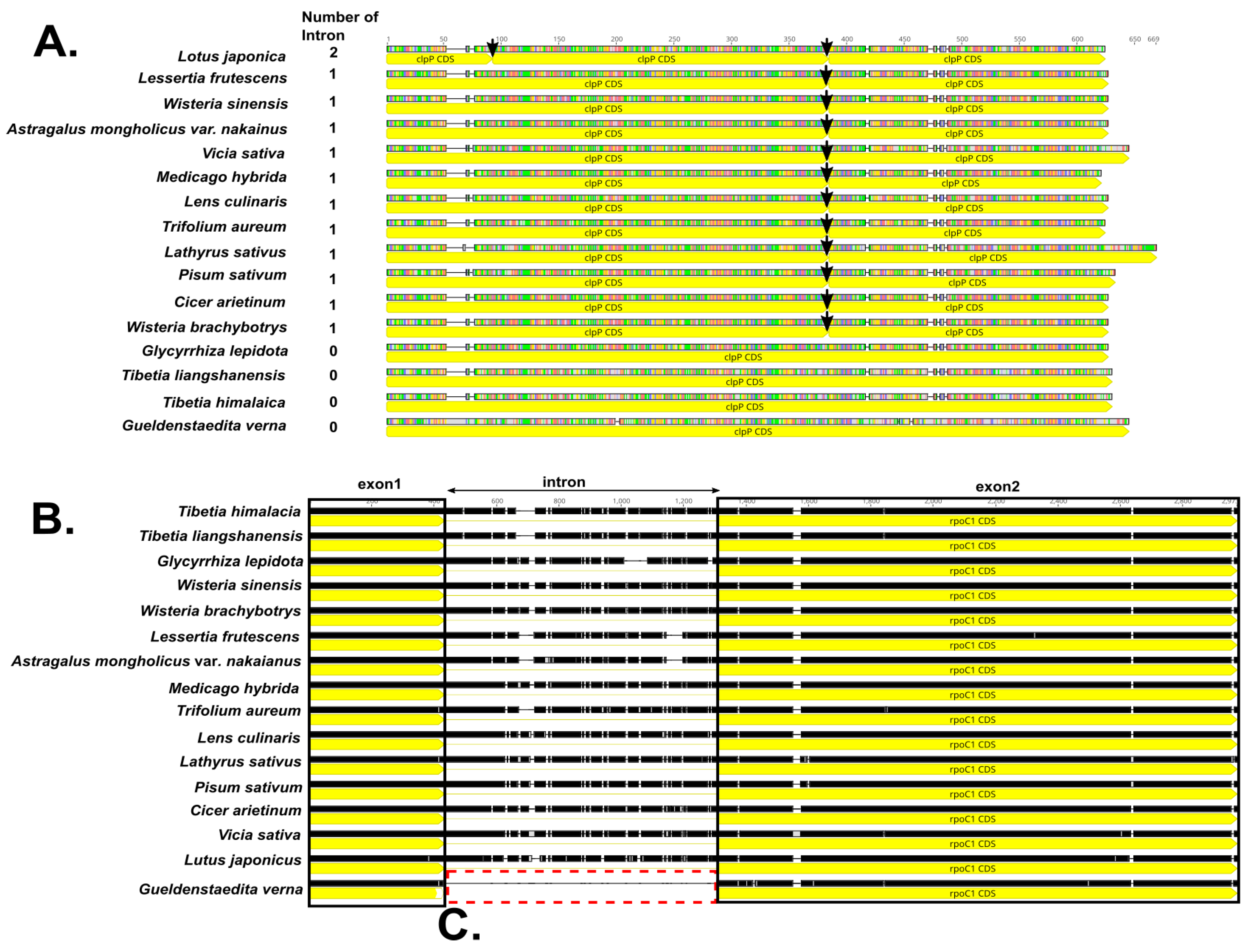 Forests 13 01942 g002