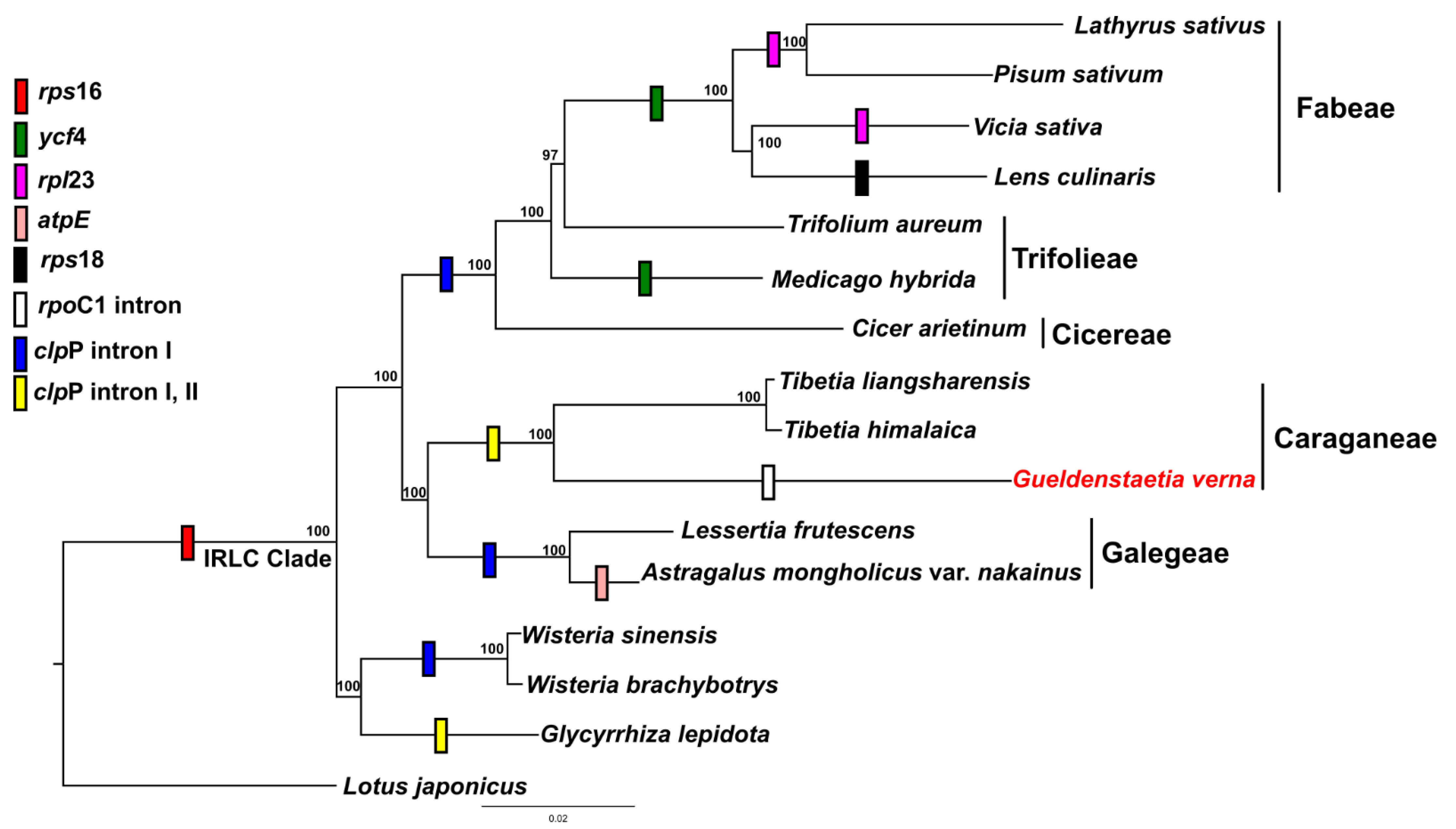 Forests 13 01942 g003