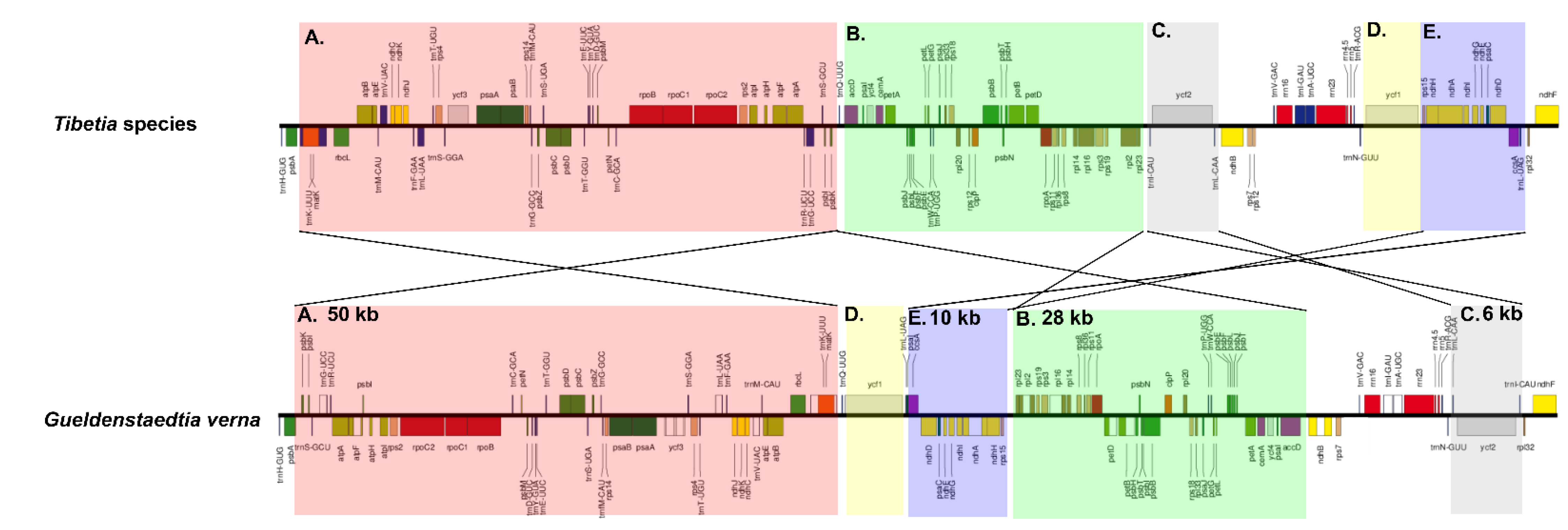 Forests 13 01942 g004