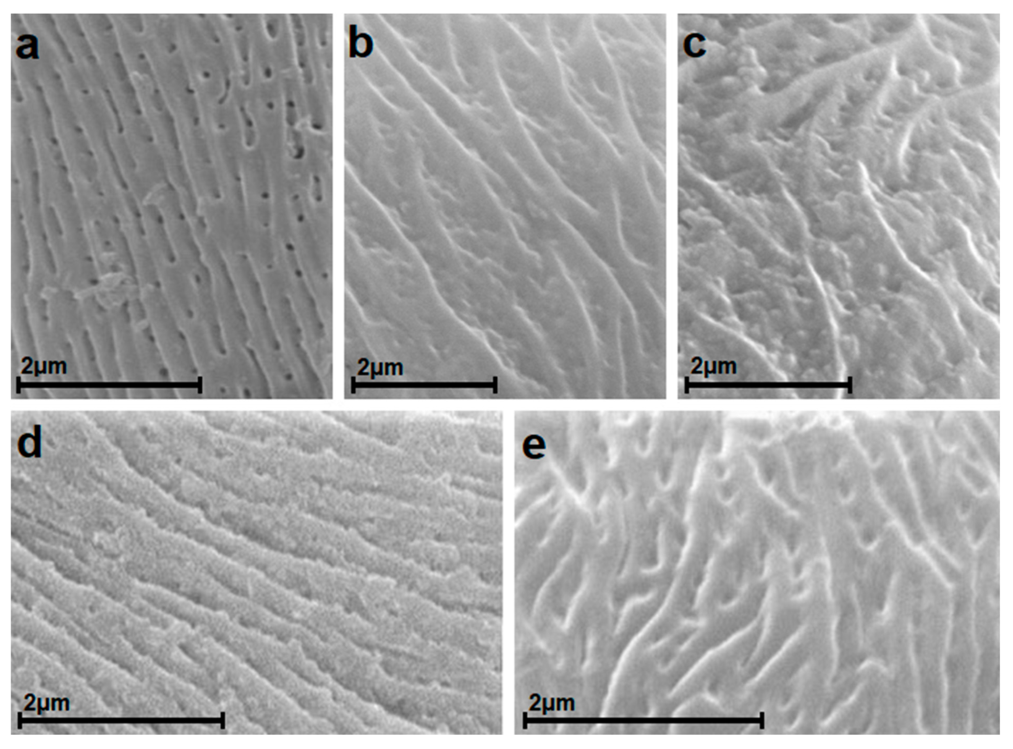 Forests 13 01946 g006 Forests 13 01946 g006