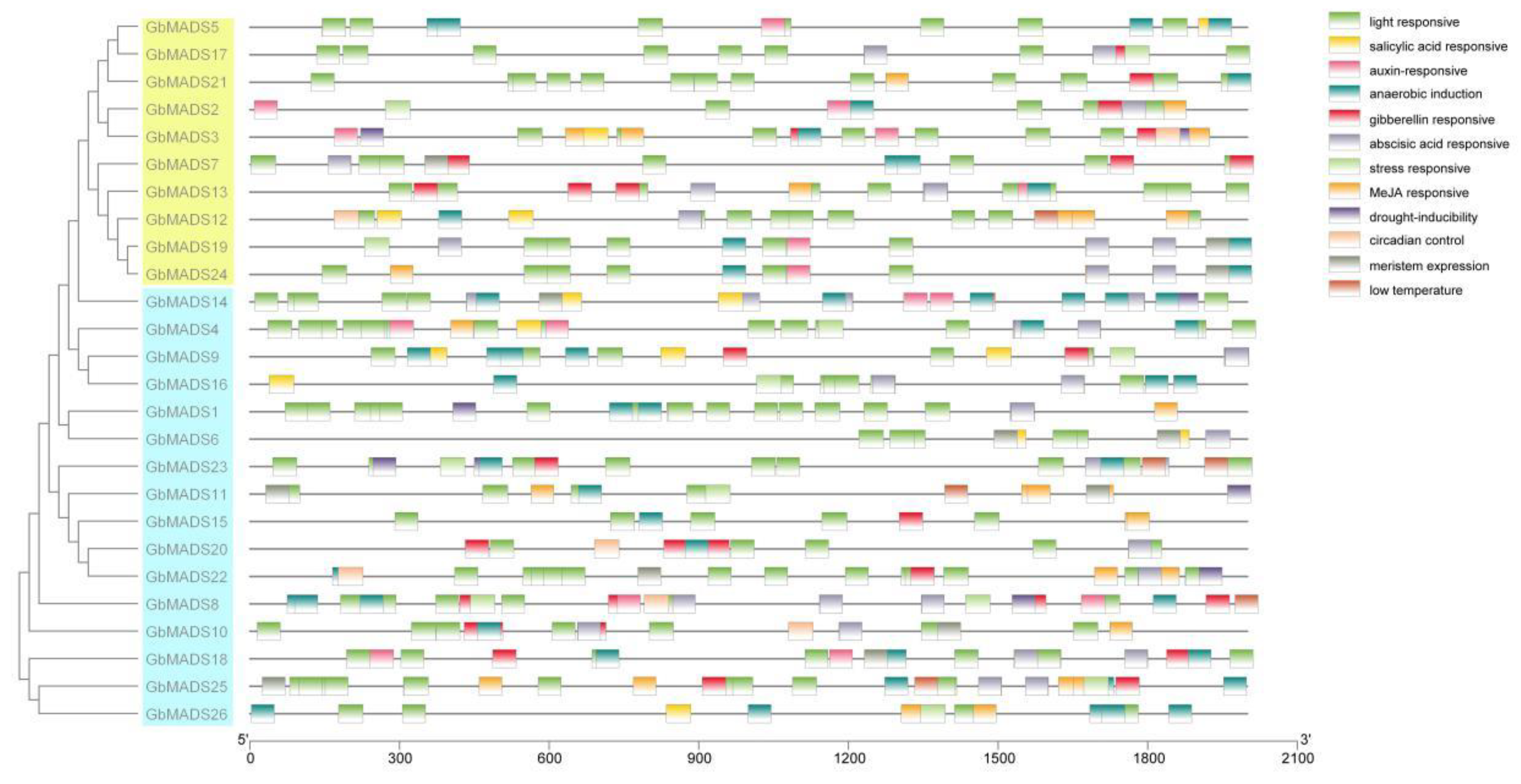 Forests 13 01953 g006