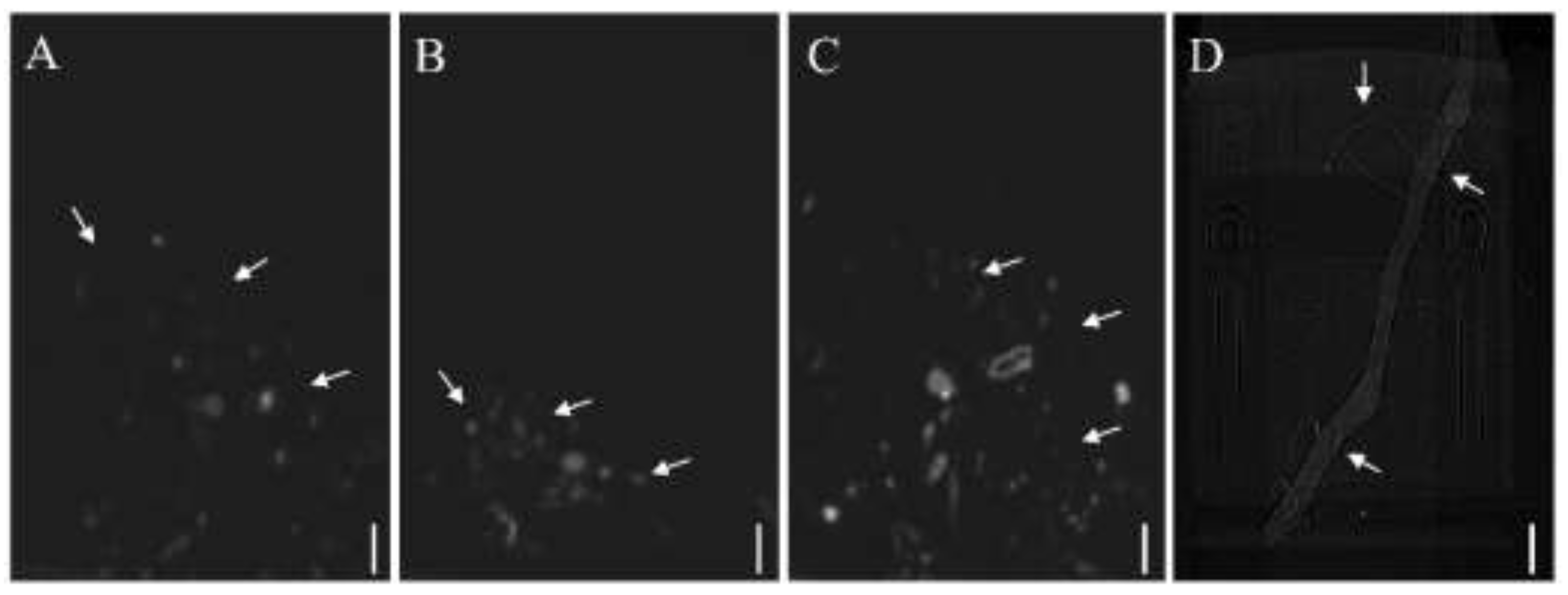 Forests 13 01963 g002 Forests 13 01963 g002