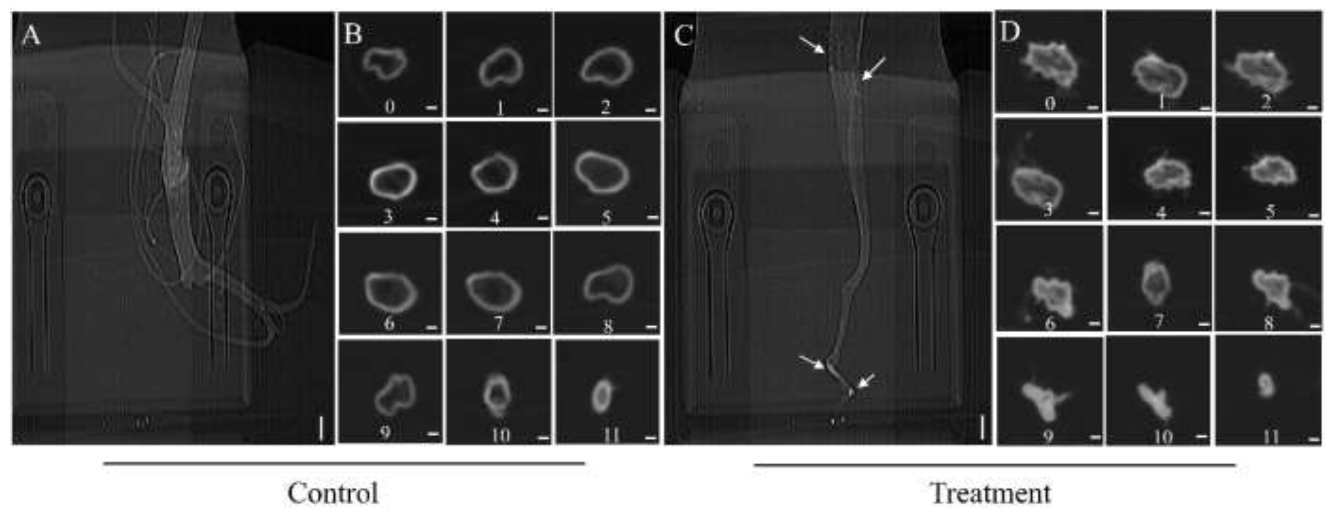 Forests 13 01963 g003 Forests 13 01963 g003