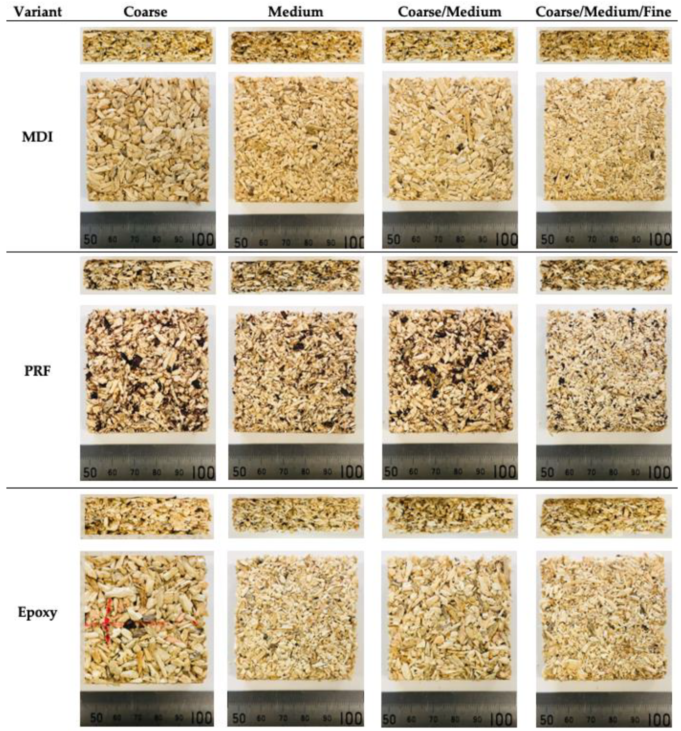 Forests 13 01967 g003