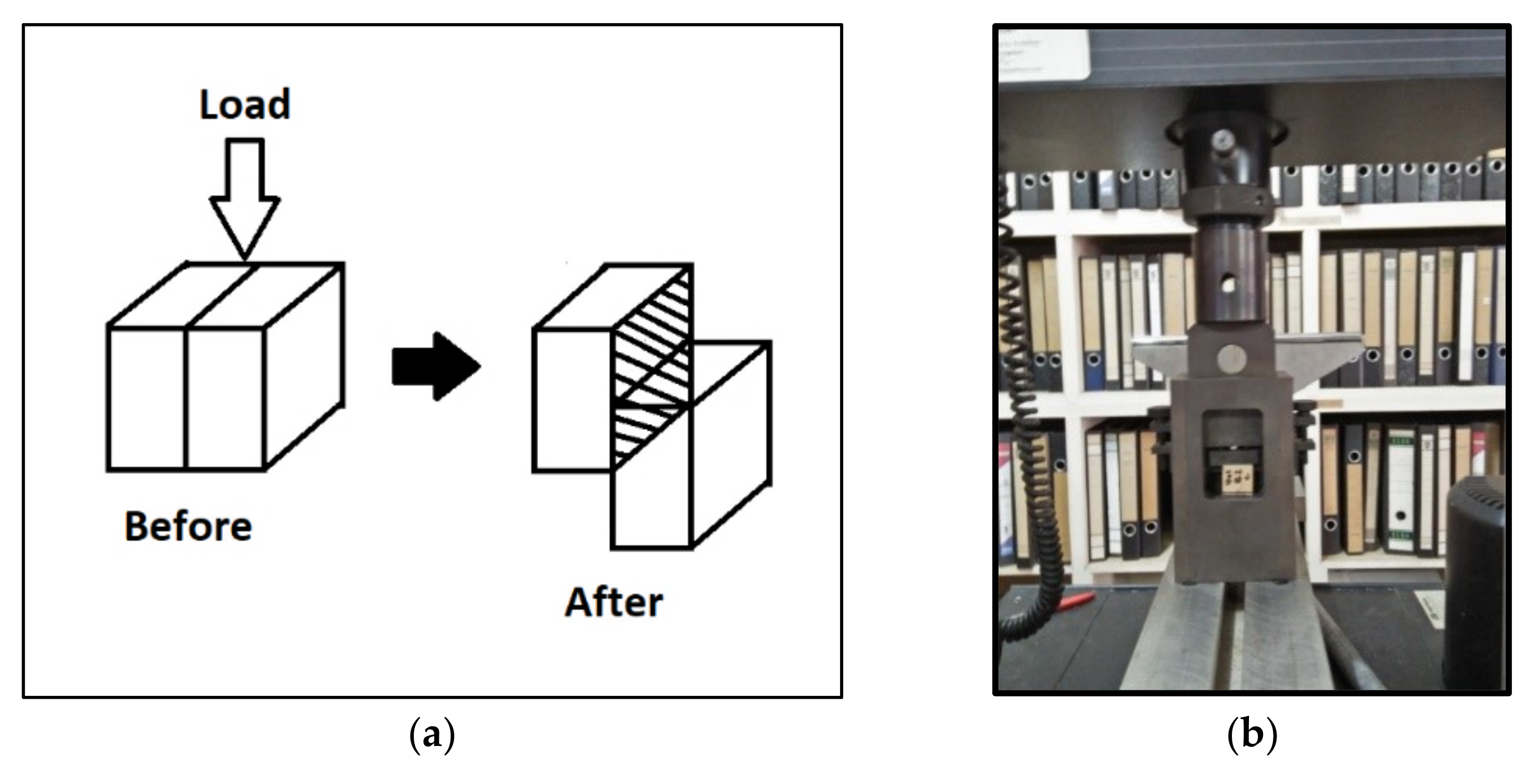 Forests 13 01969 g002