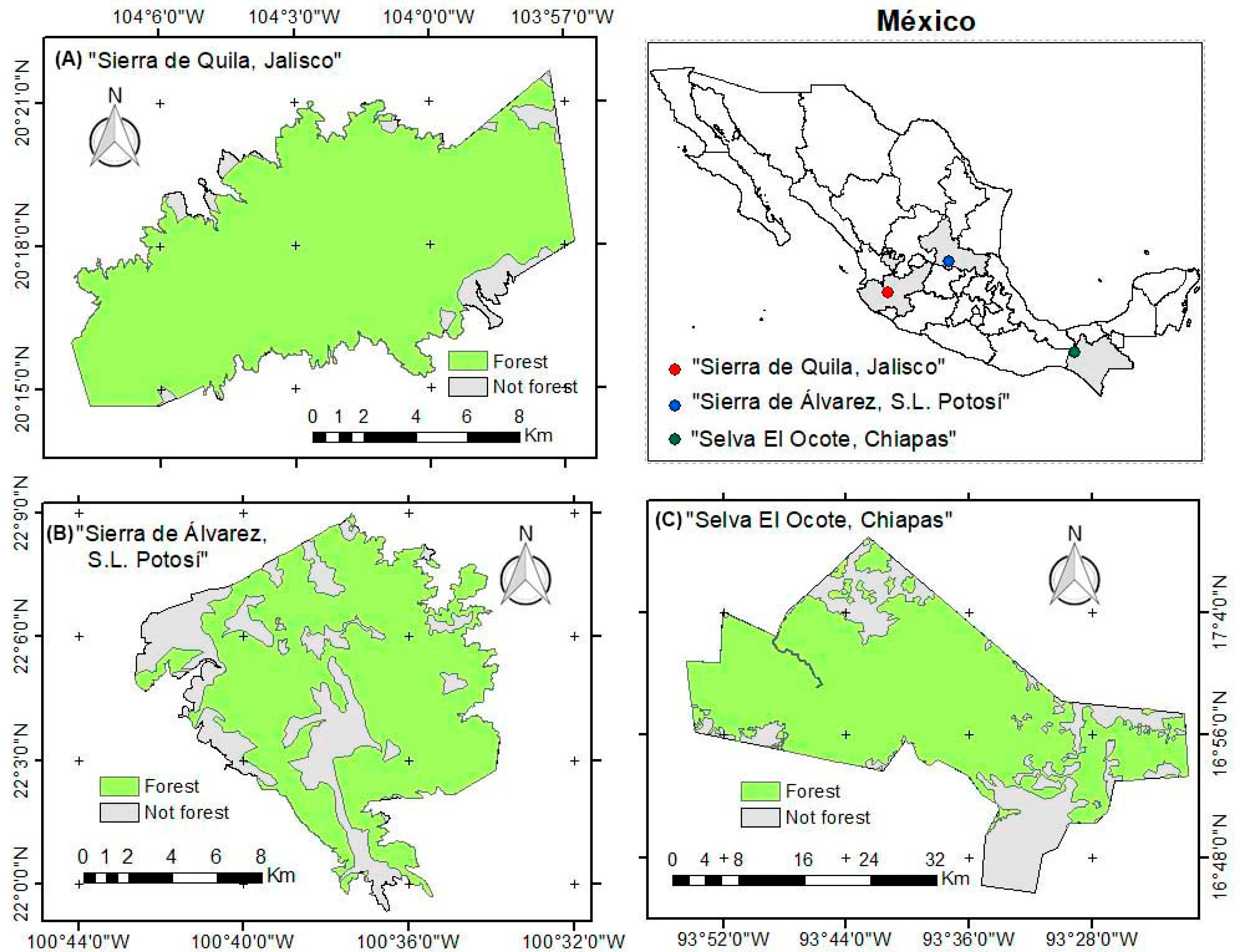 Forests 13 01970 g001