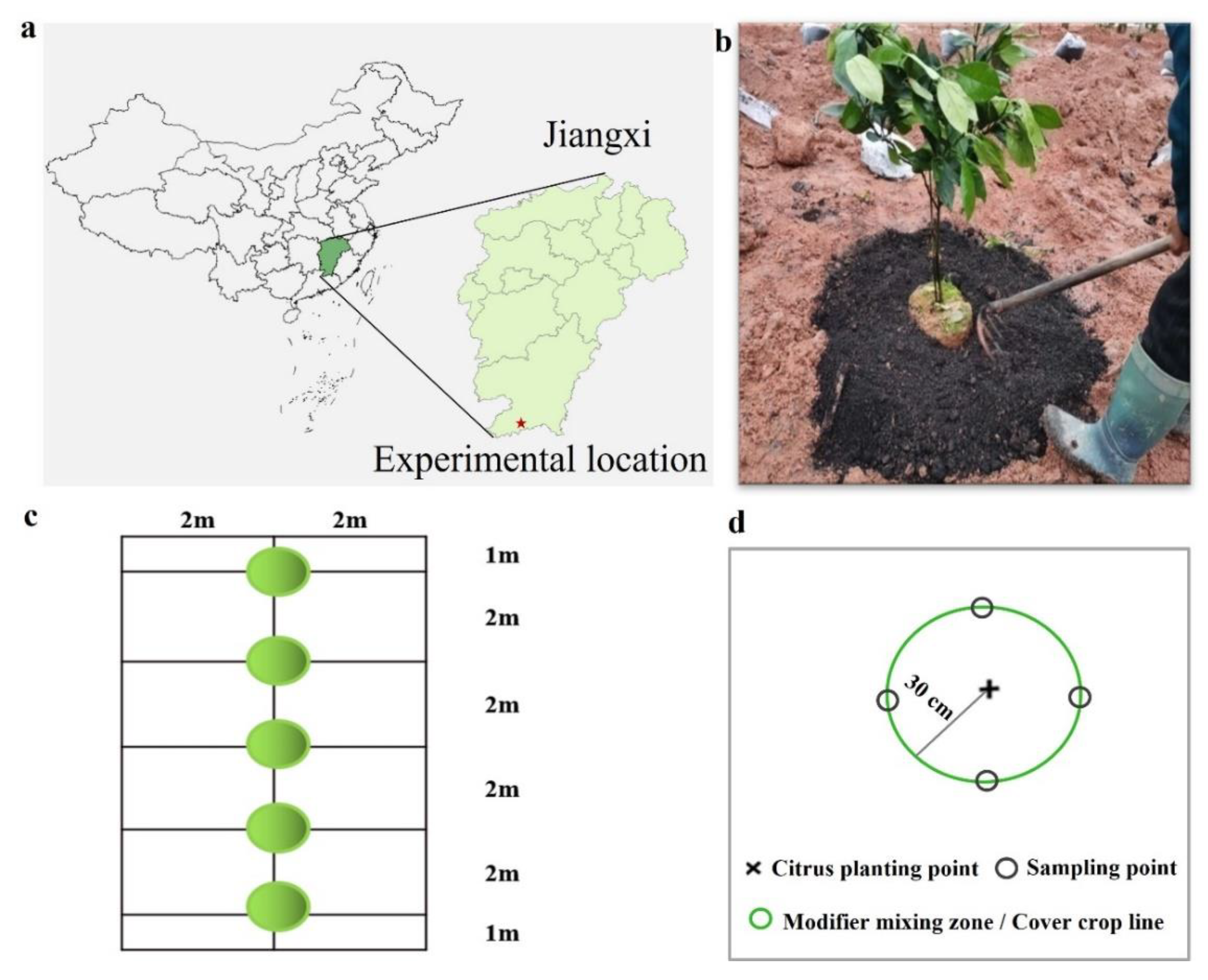 Forests 13 01987 g001