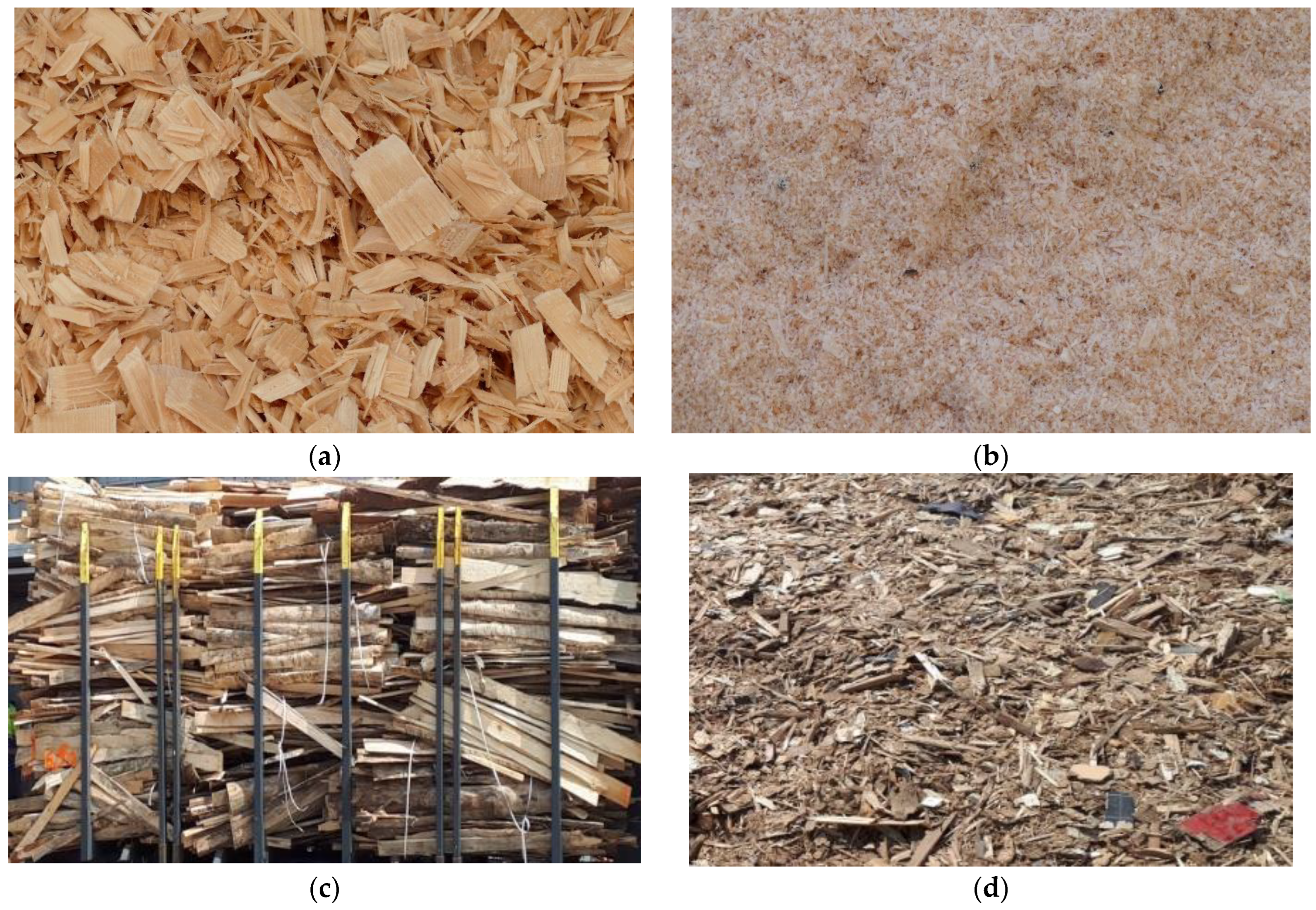 Forests 13 01992 g001 Forests 13 01992 g001