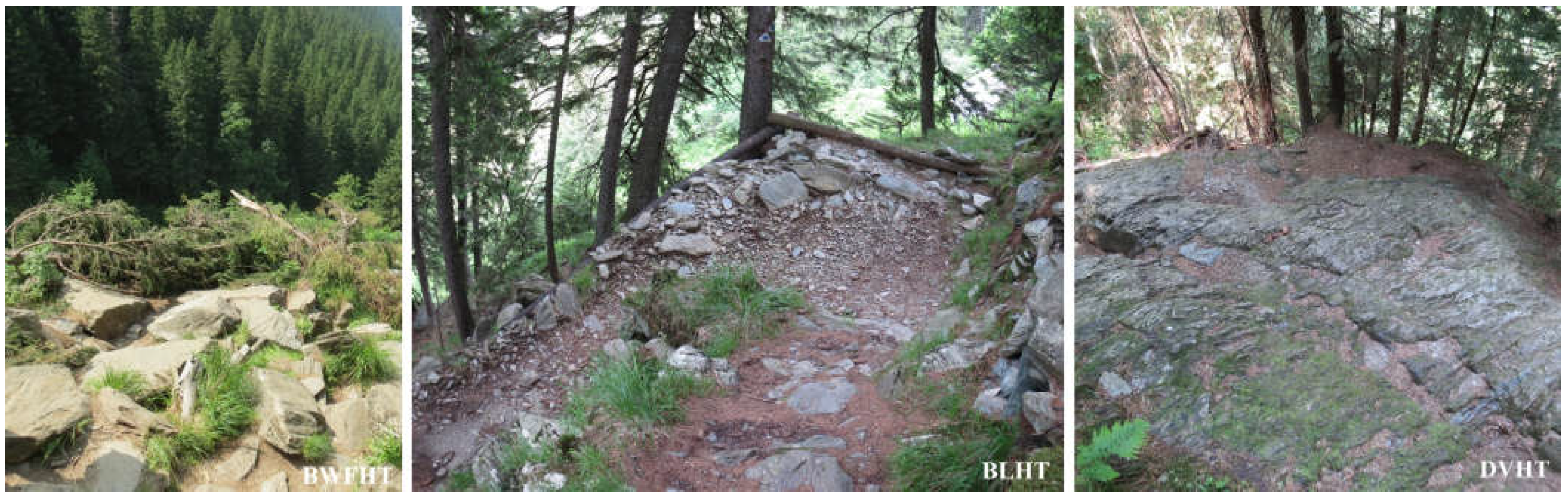 Forests 13 01993 g010 Forests 13 01993 g010