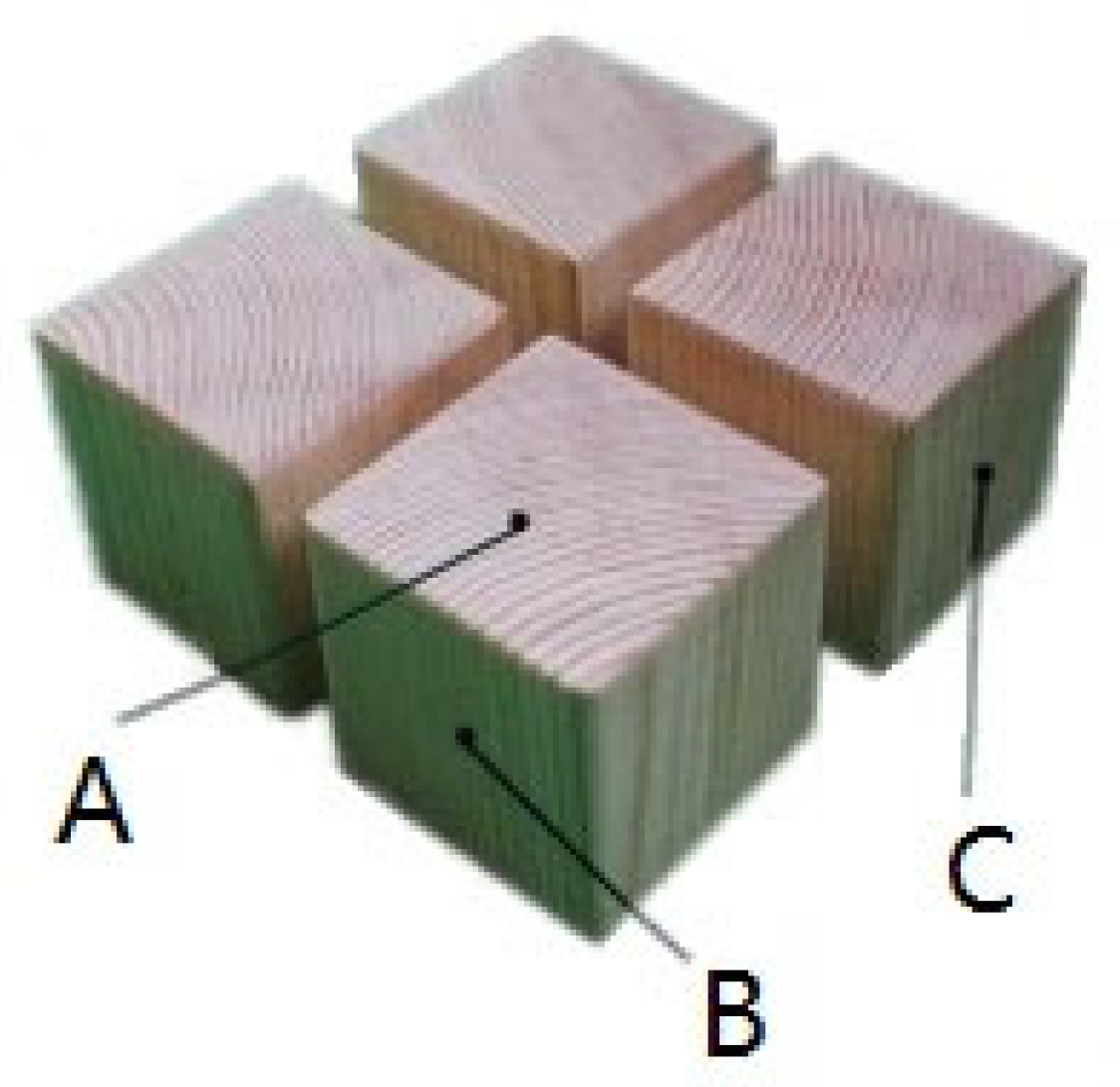 Forests 13 01995 g002