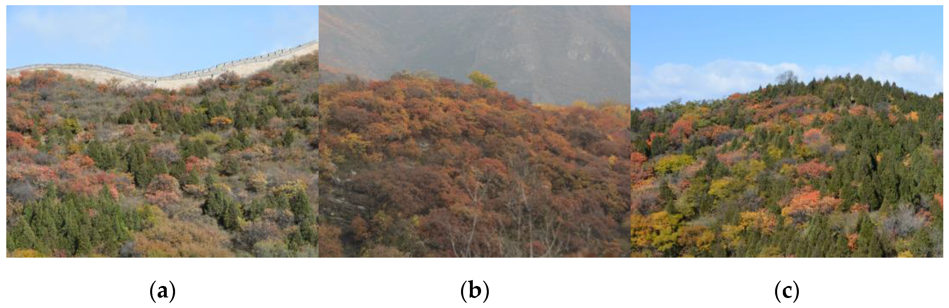 Forests 13 01996 g002 Forests 13 01996 g002