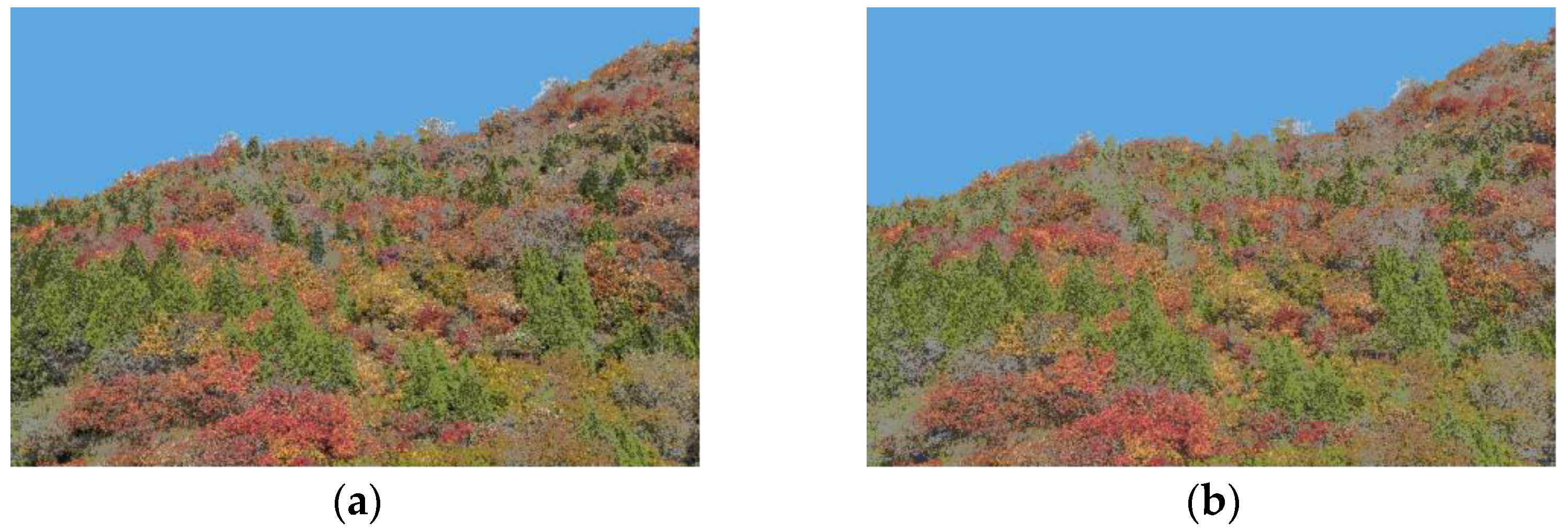 Forests 13 01996 g0a3 Forests 13 01996 g0a3