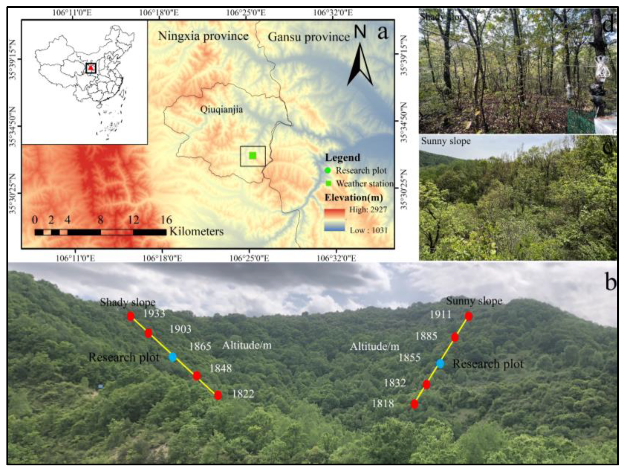 Forests 13 01999 g001 Forests 13 01999 g001