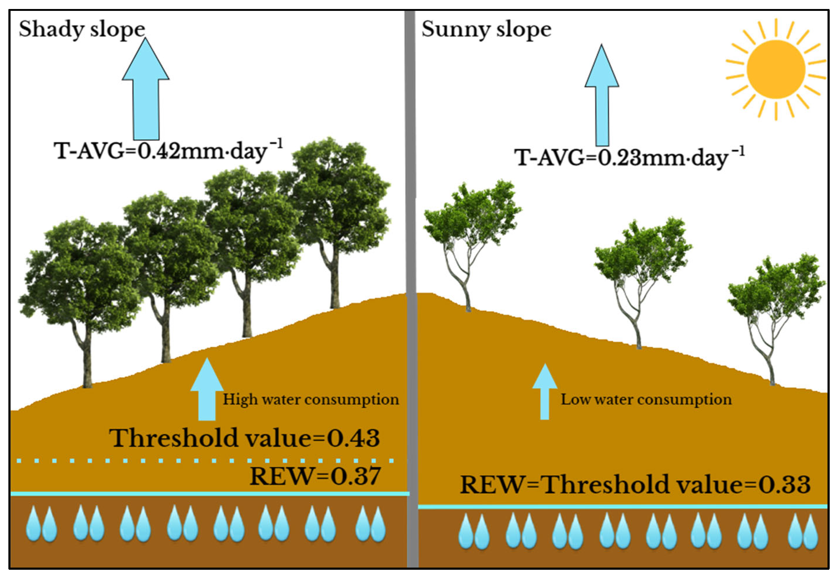 Forests 13 01999 g007 Forests 13 01999 g007
