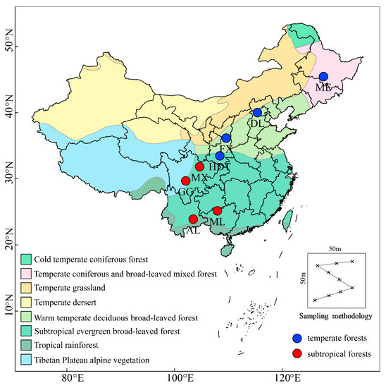 まろん hnRNP A/B Proteins: An Encyclopedic Assessment of Their