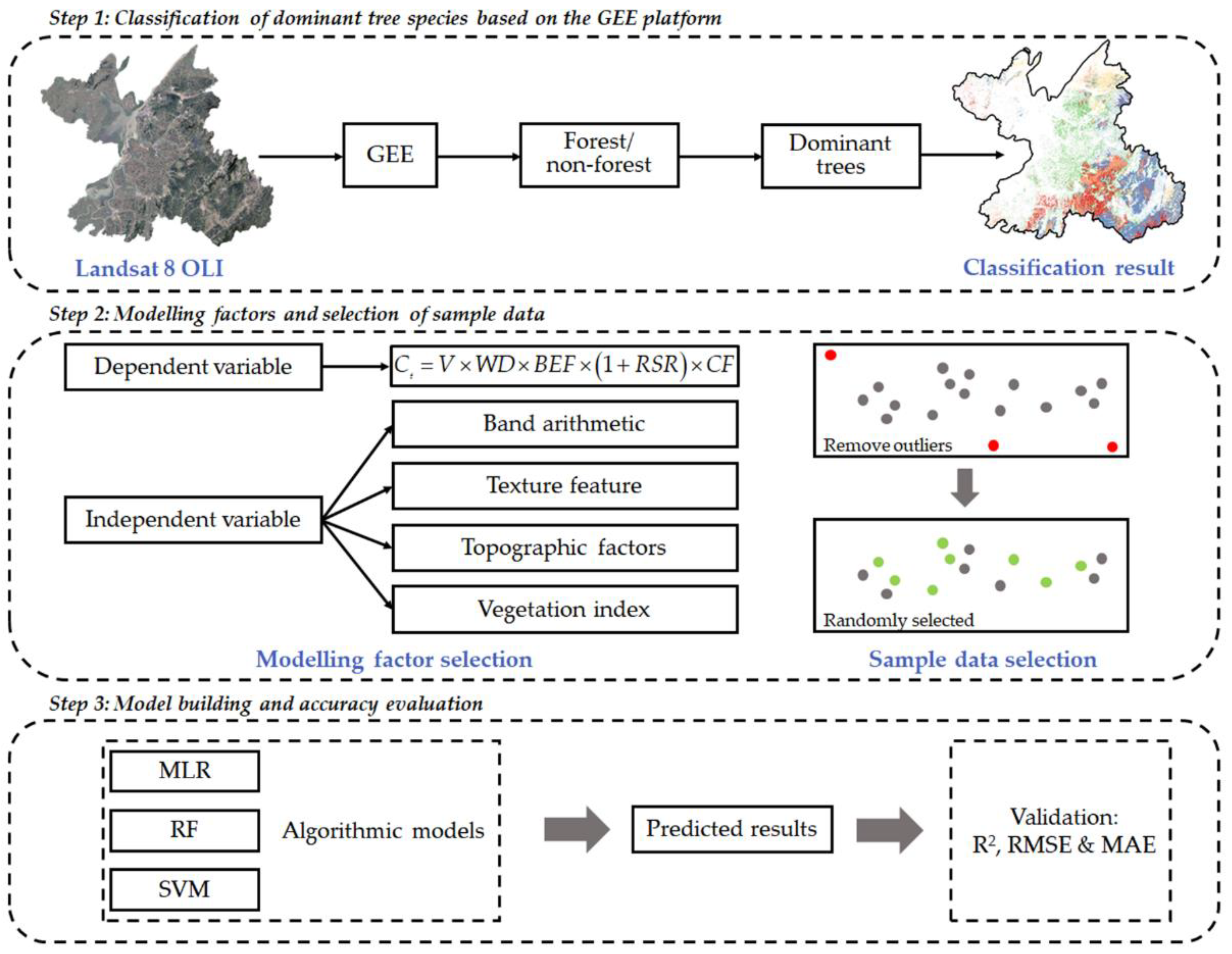Forests 13 02004 g002 Forests 13 02004 g002