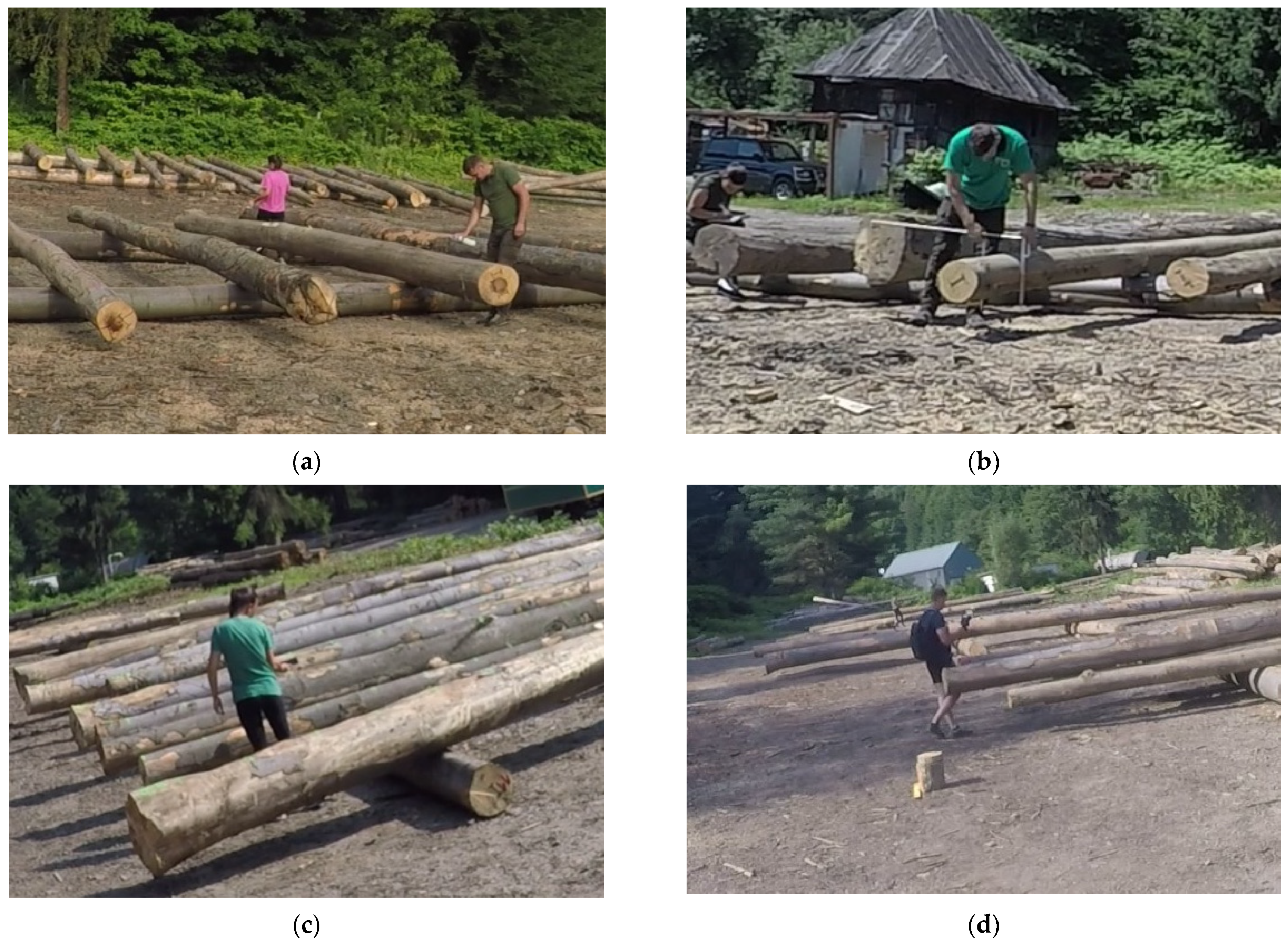 Forests 13 02007 g001 Forests 13 02007 g001