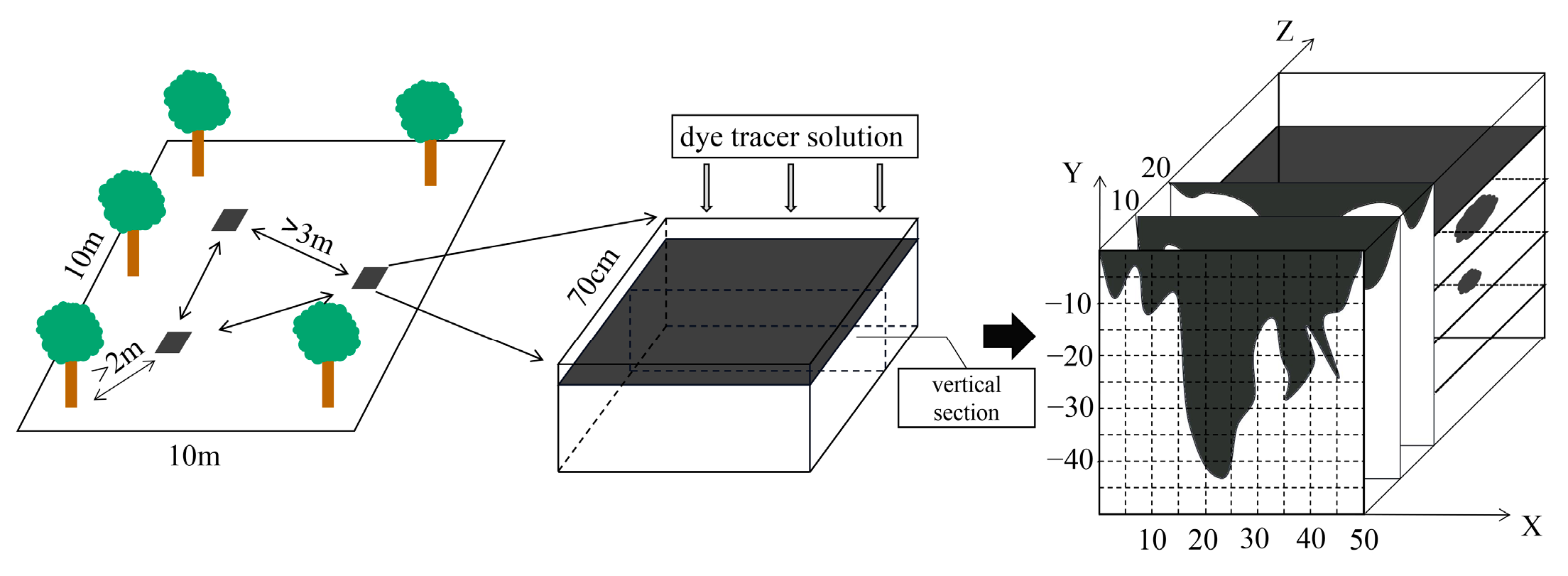 Forests 13 02008 g001
